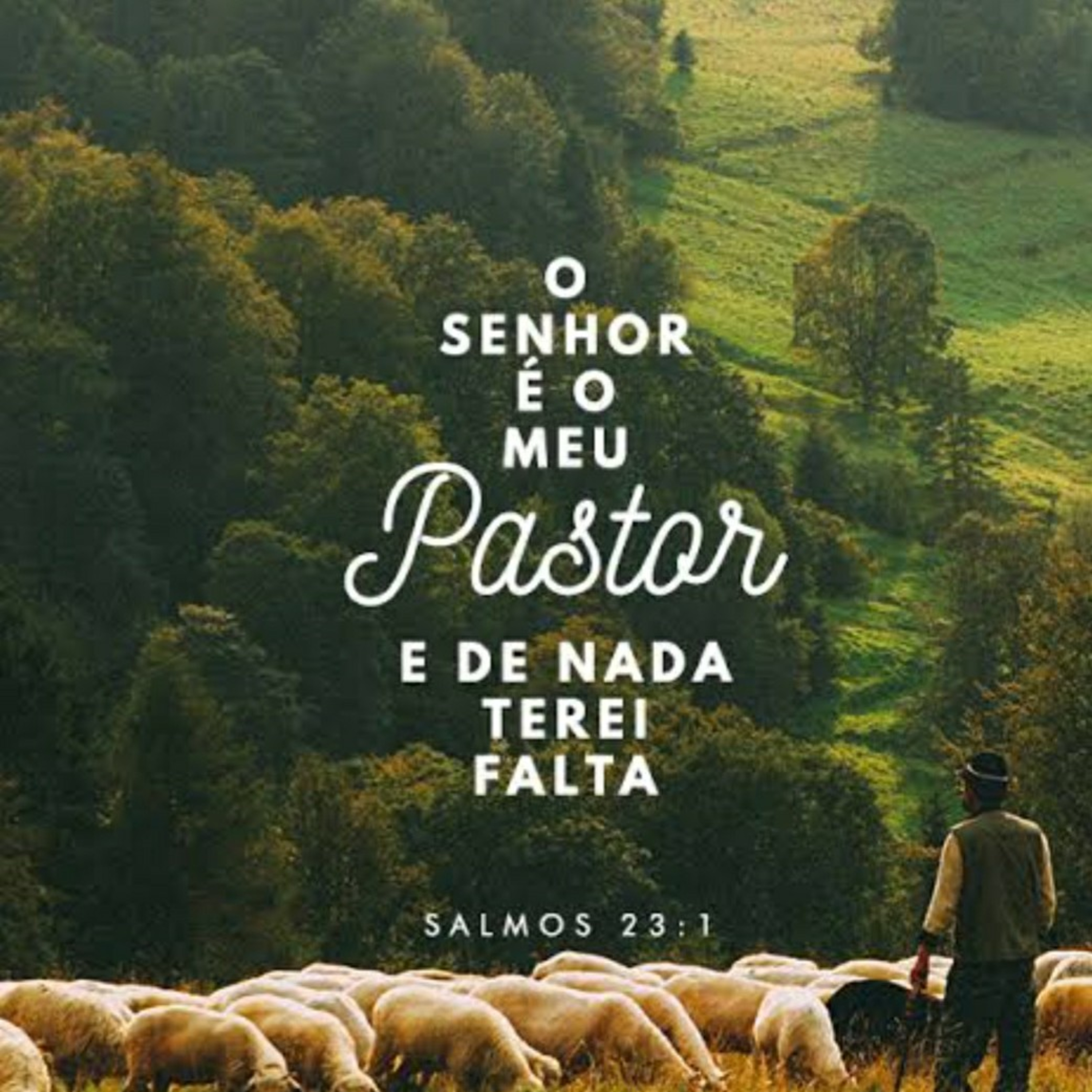 Clarice Lemos