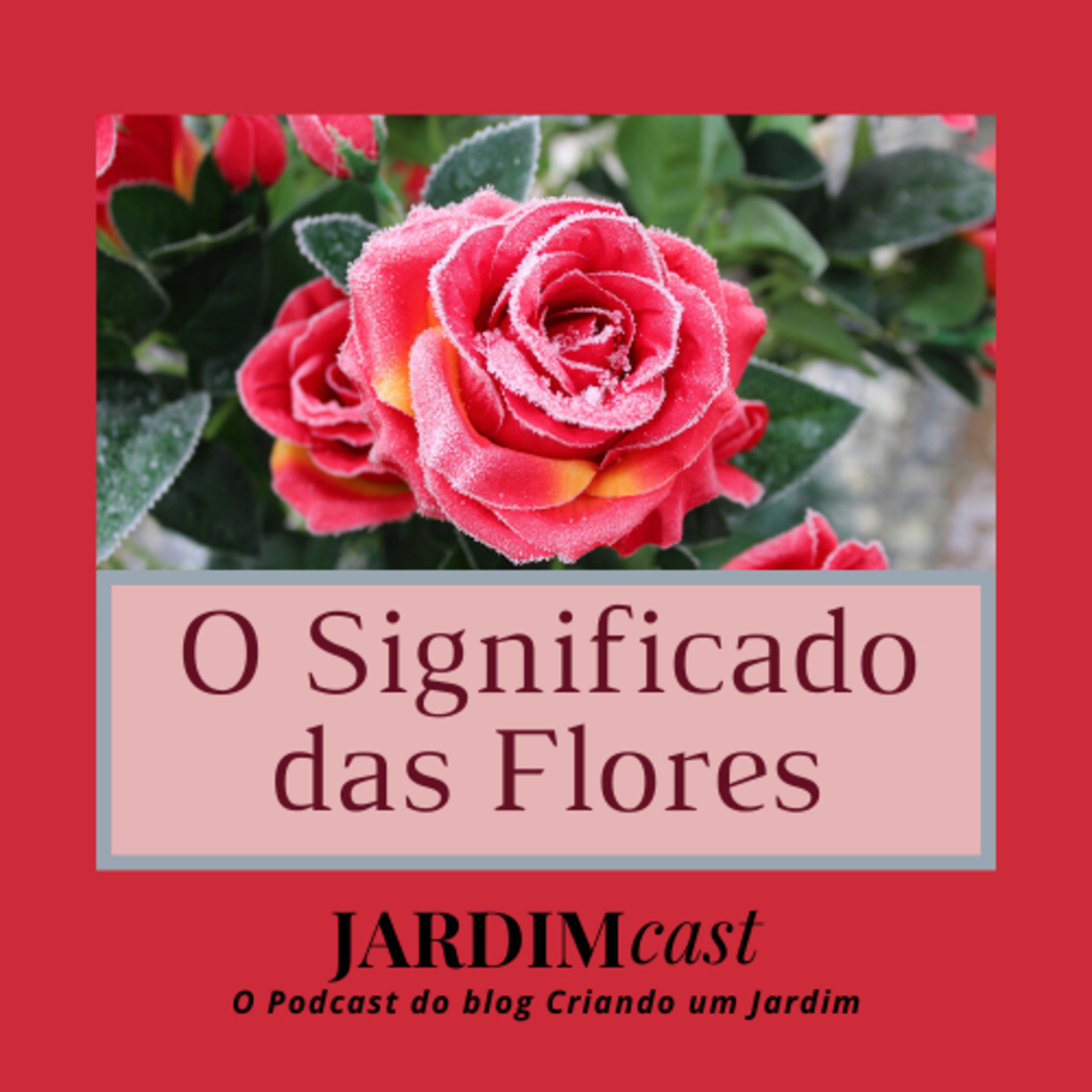 O significado das flores