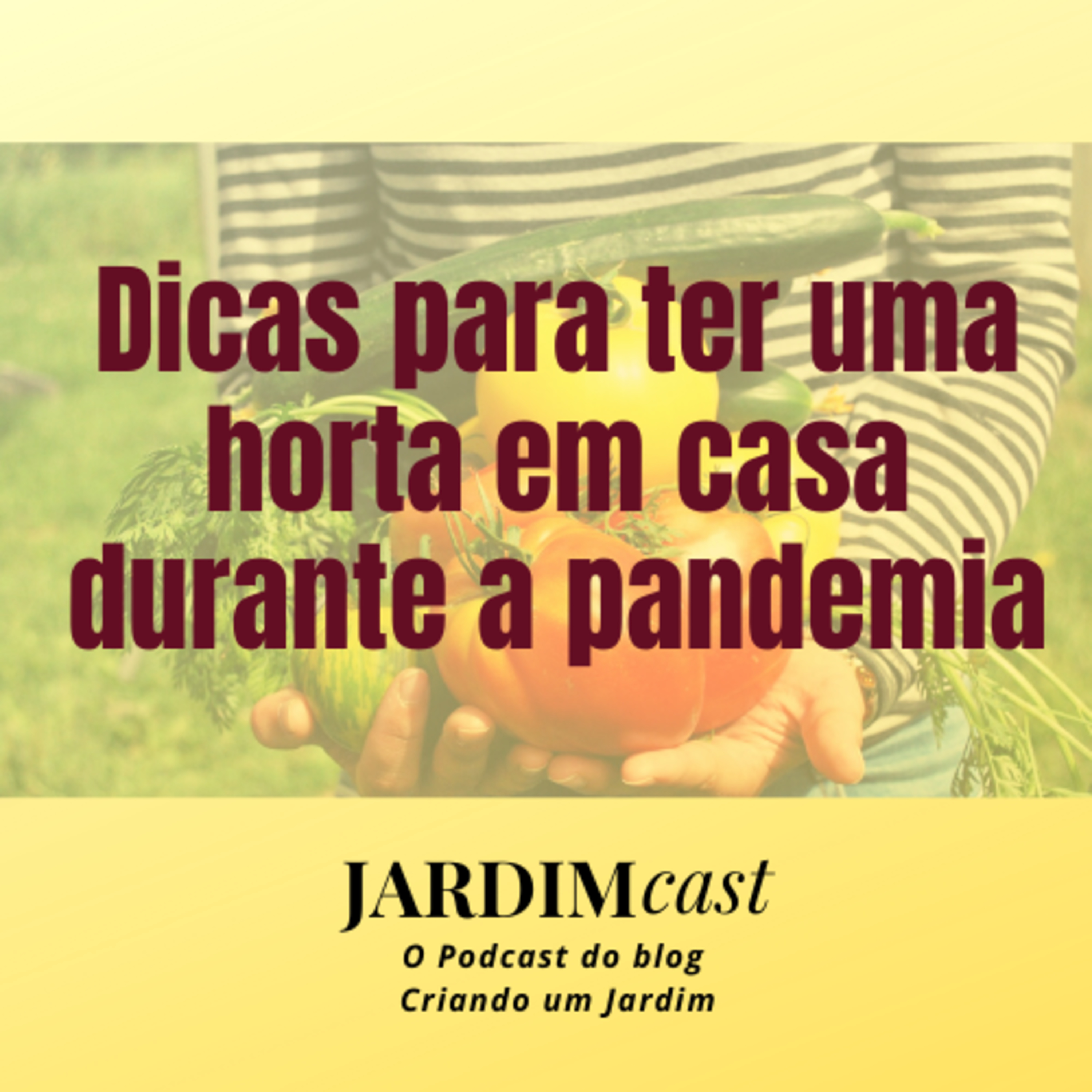 Dicas para ter uma horta em casa durante a pandemia