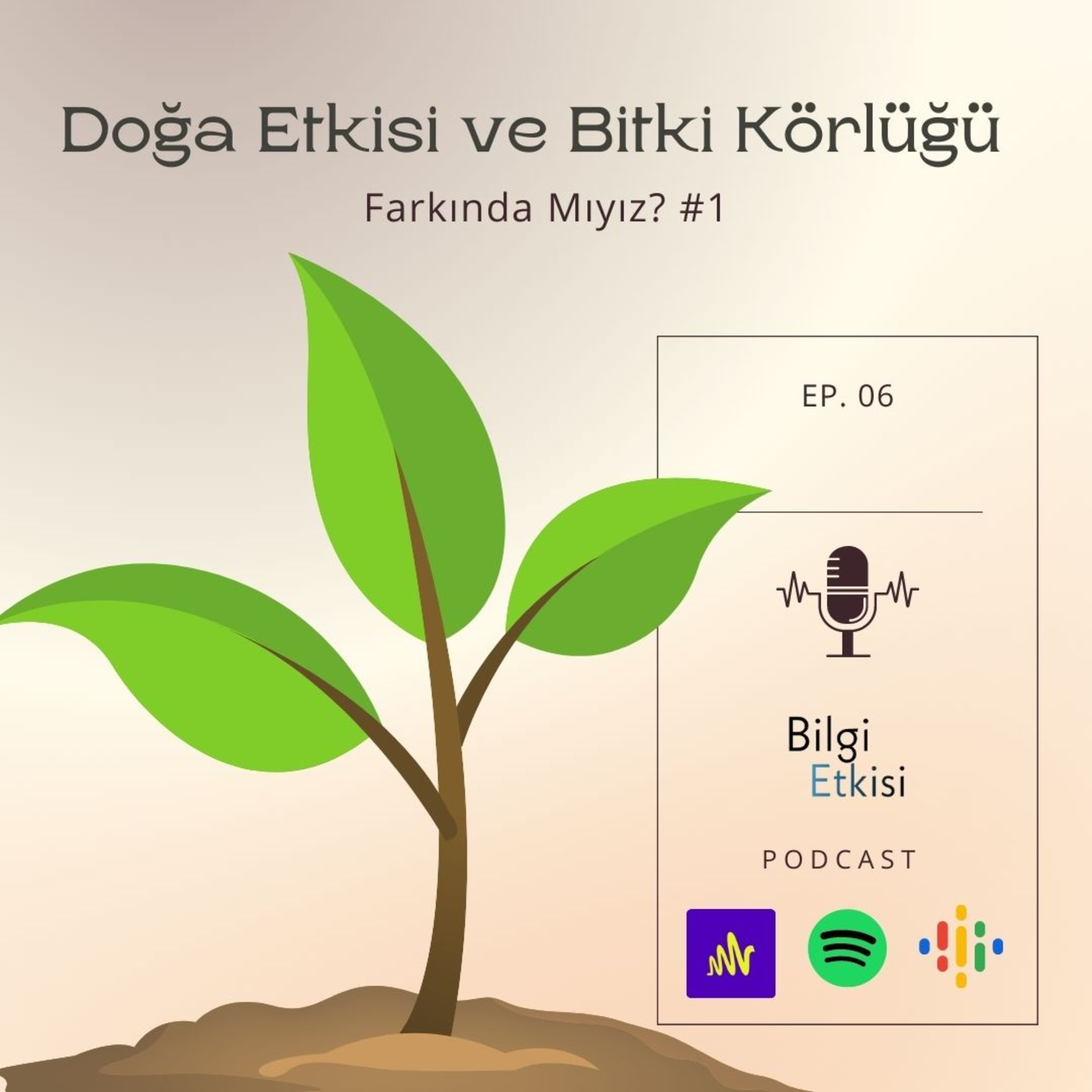 Bilgi Etkisi
