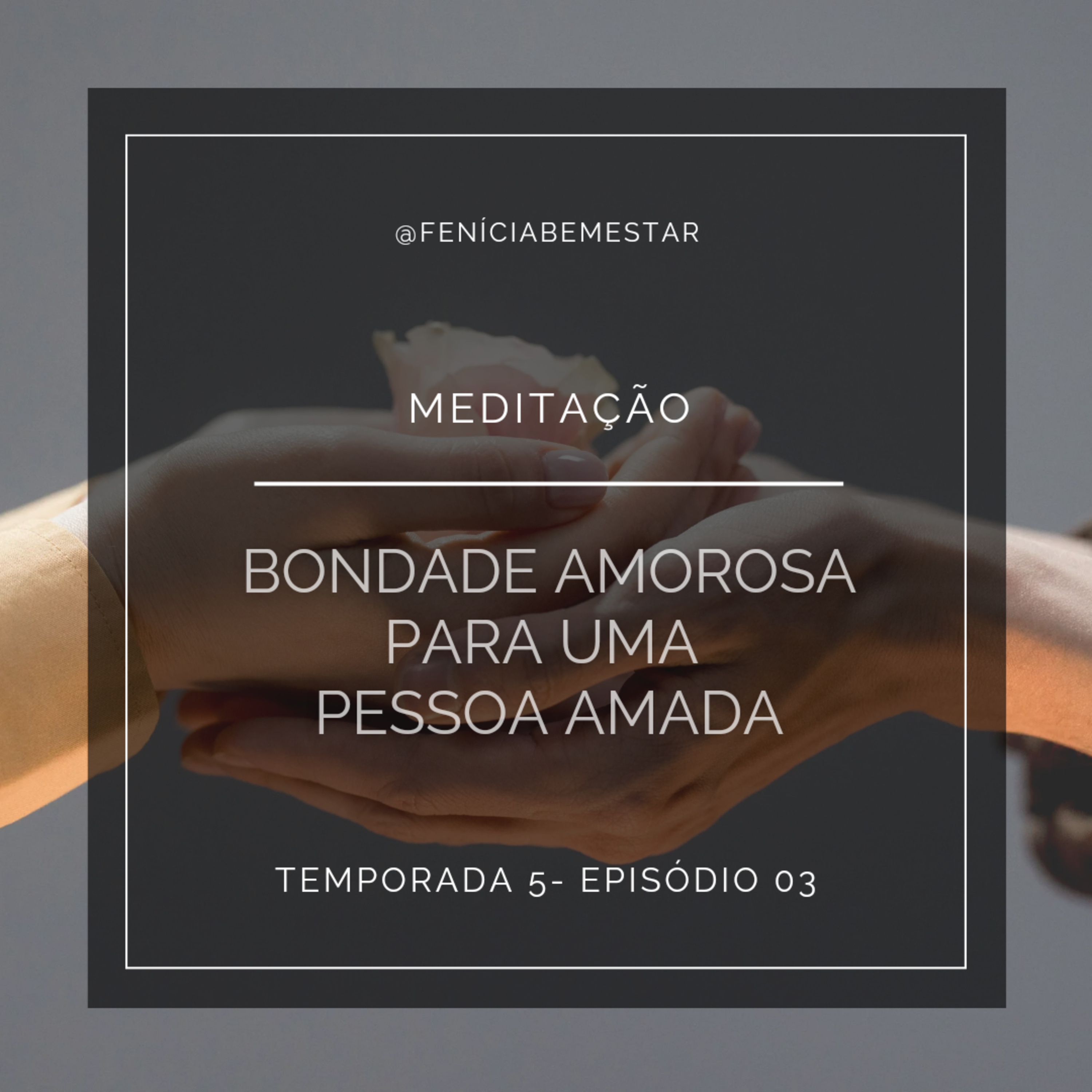 Fenicia Bem Estar
