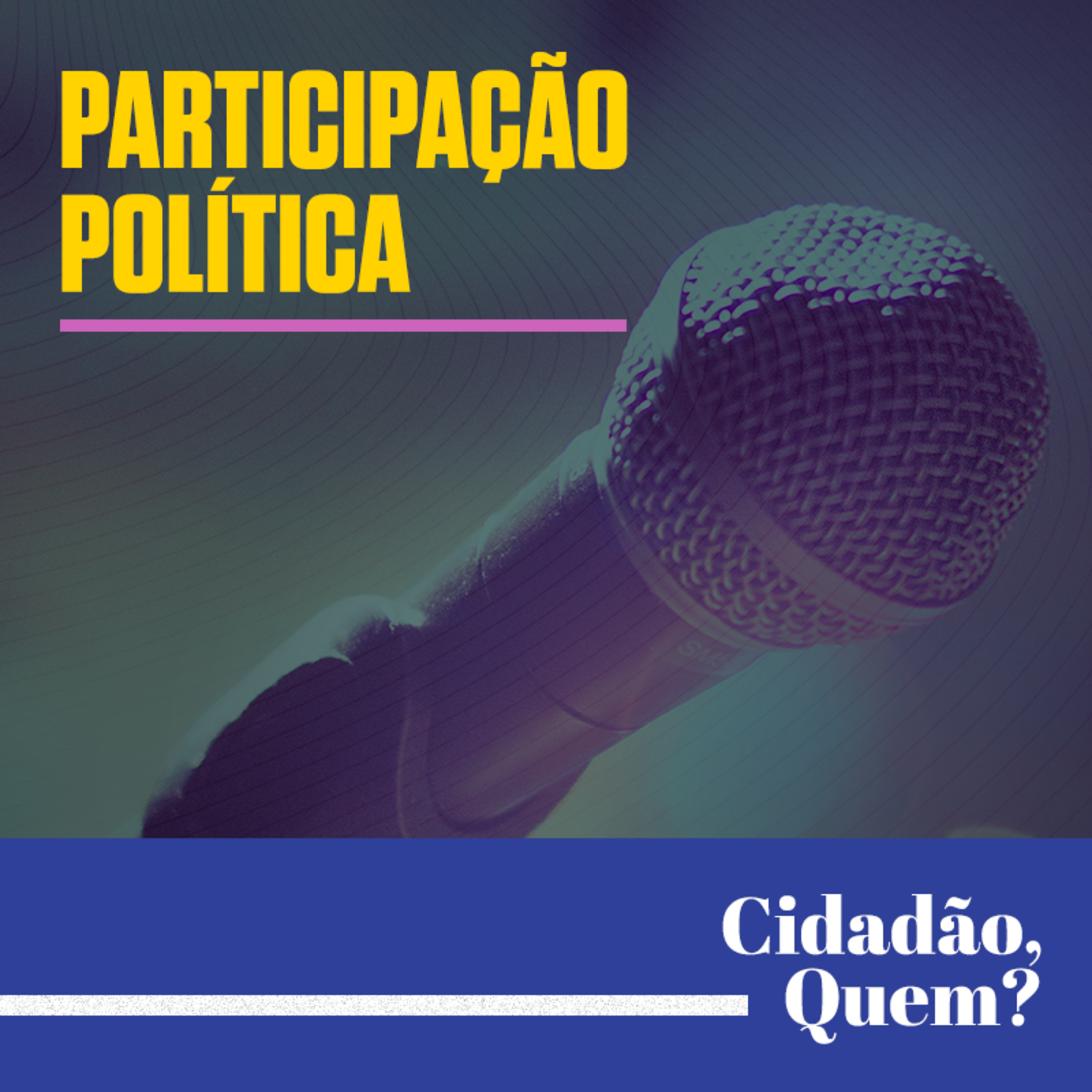 #4 Participação política