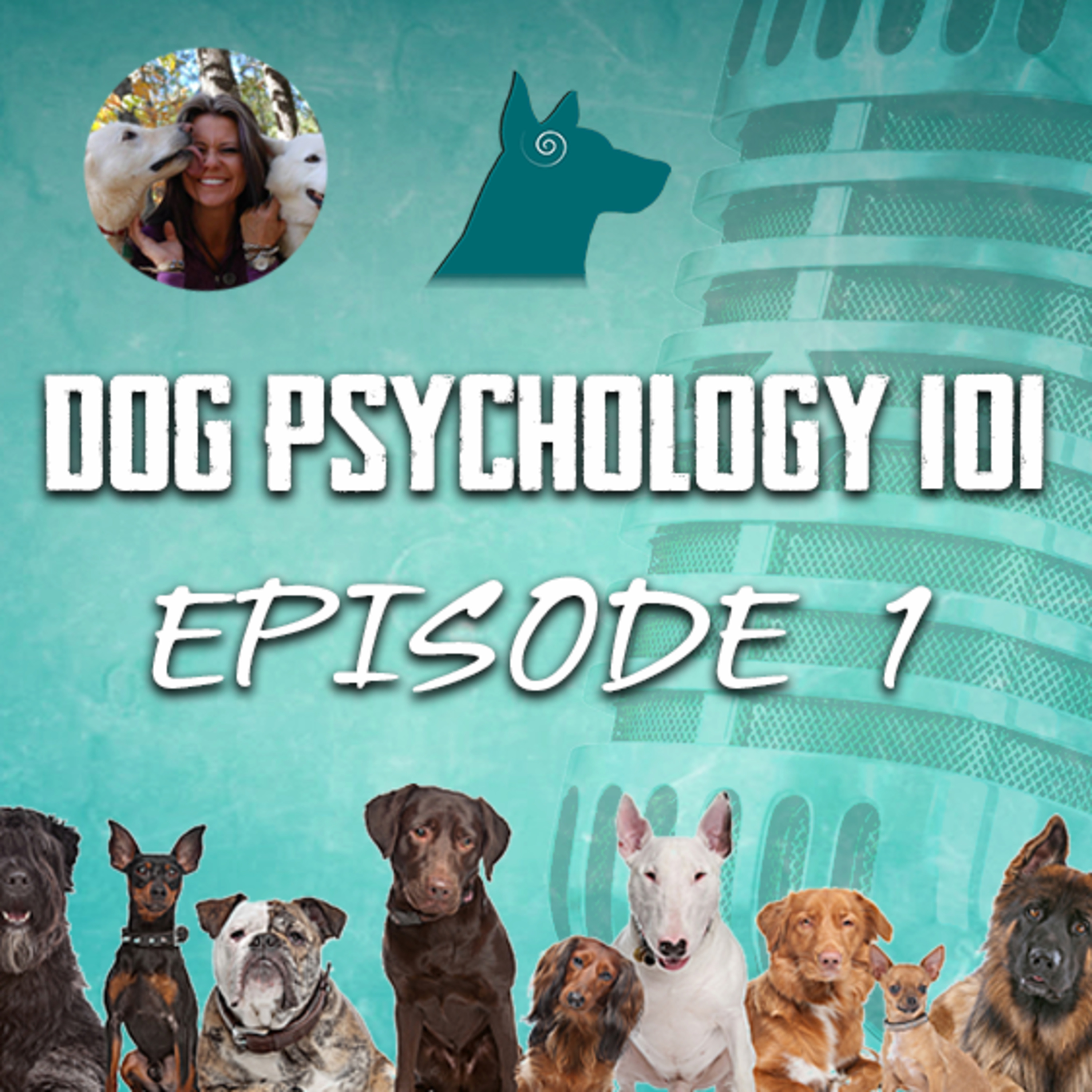 Dog Psychology vs. Human Psychology