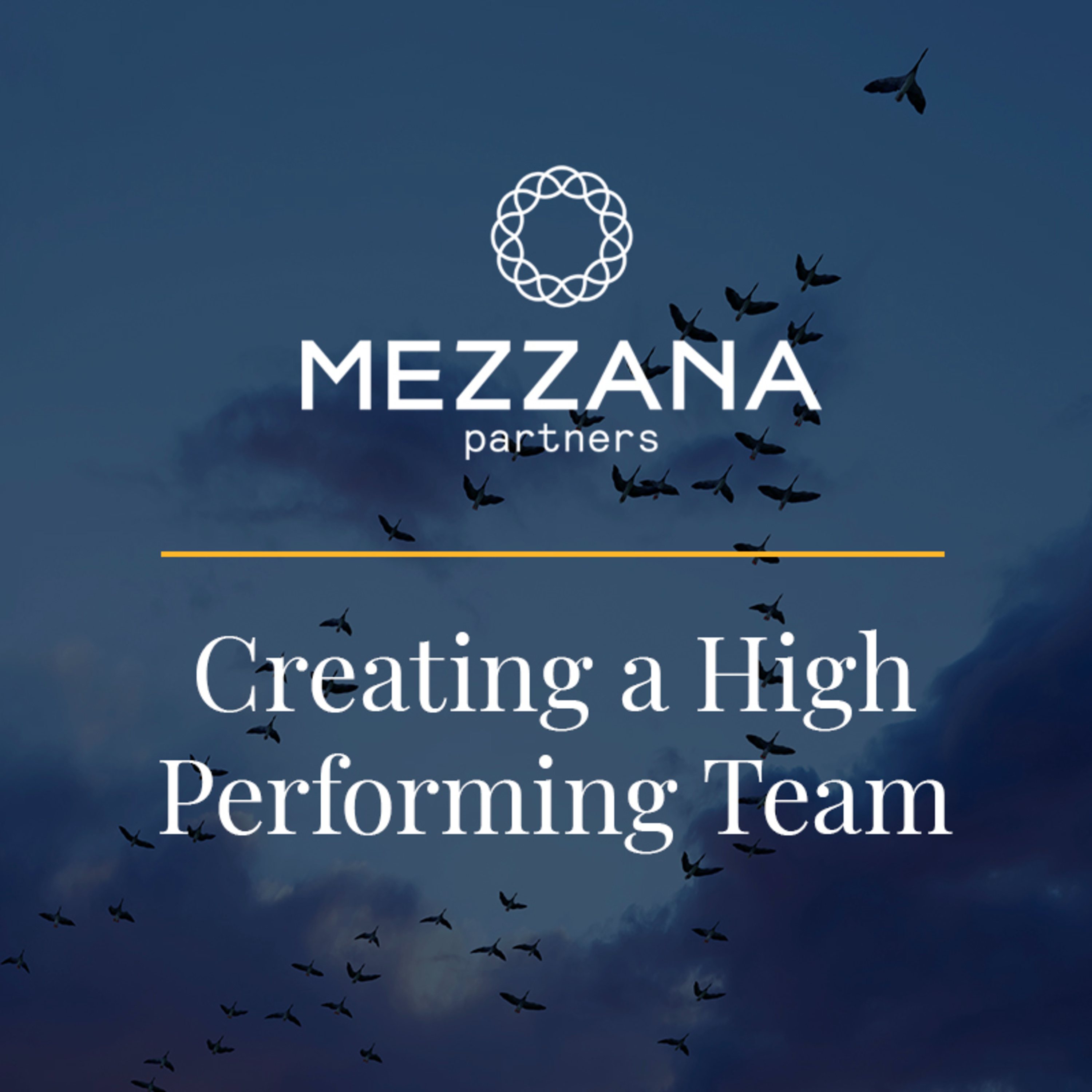 Mezzana Partners