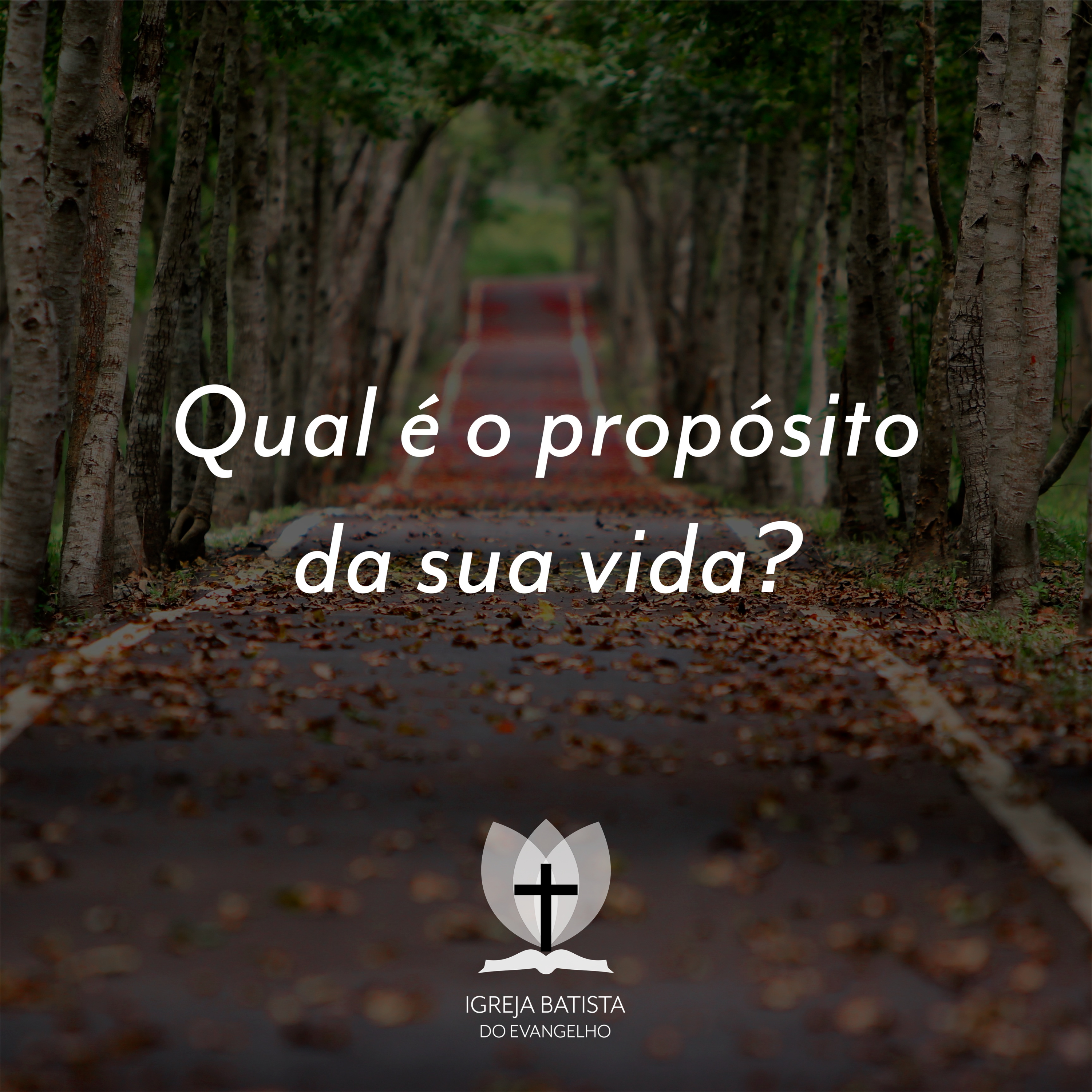 Qual é o propósito da sua vida? episode artwork