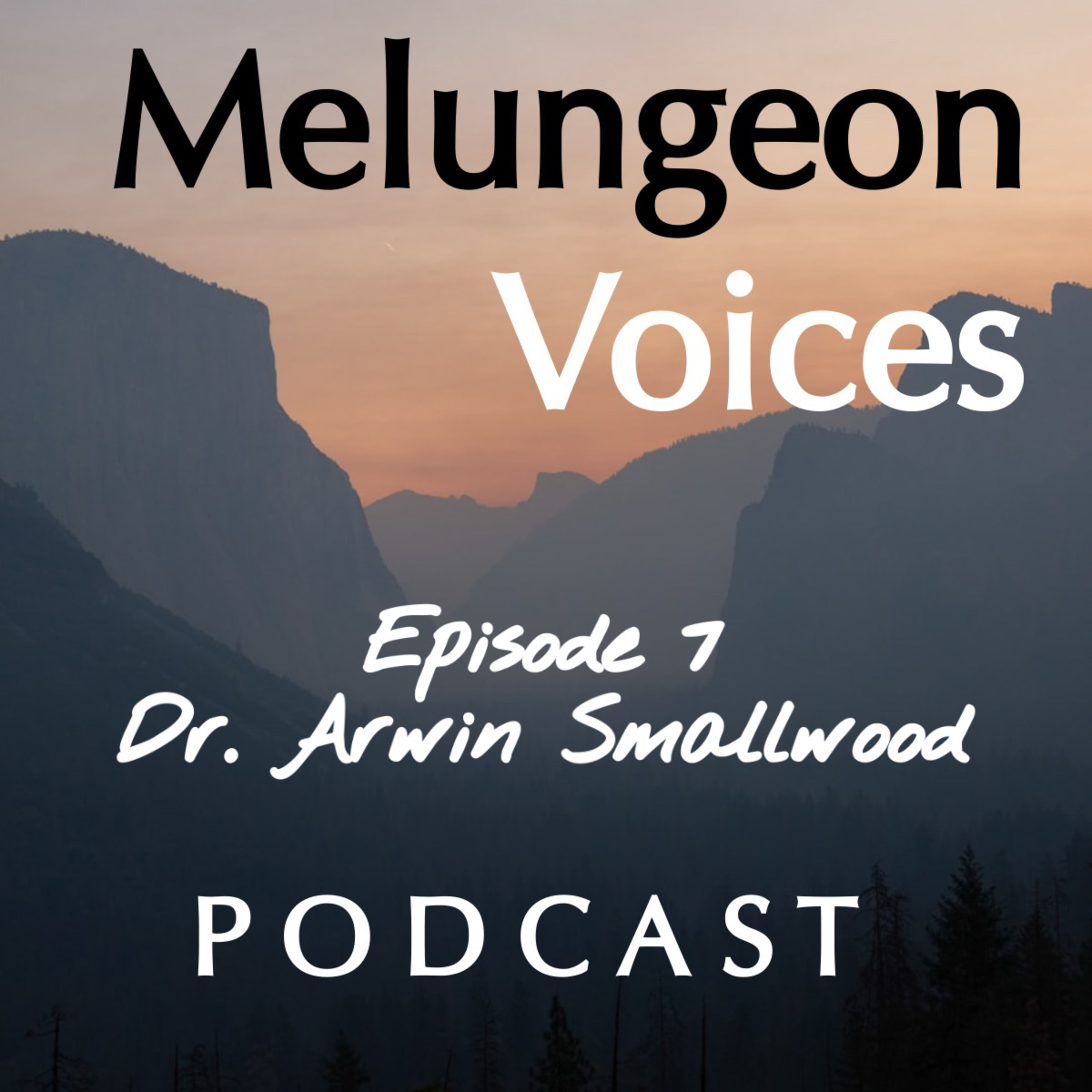 S2 EP7: Dr. Arwin Smallwood Interview