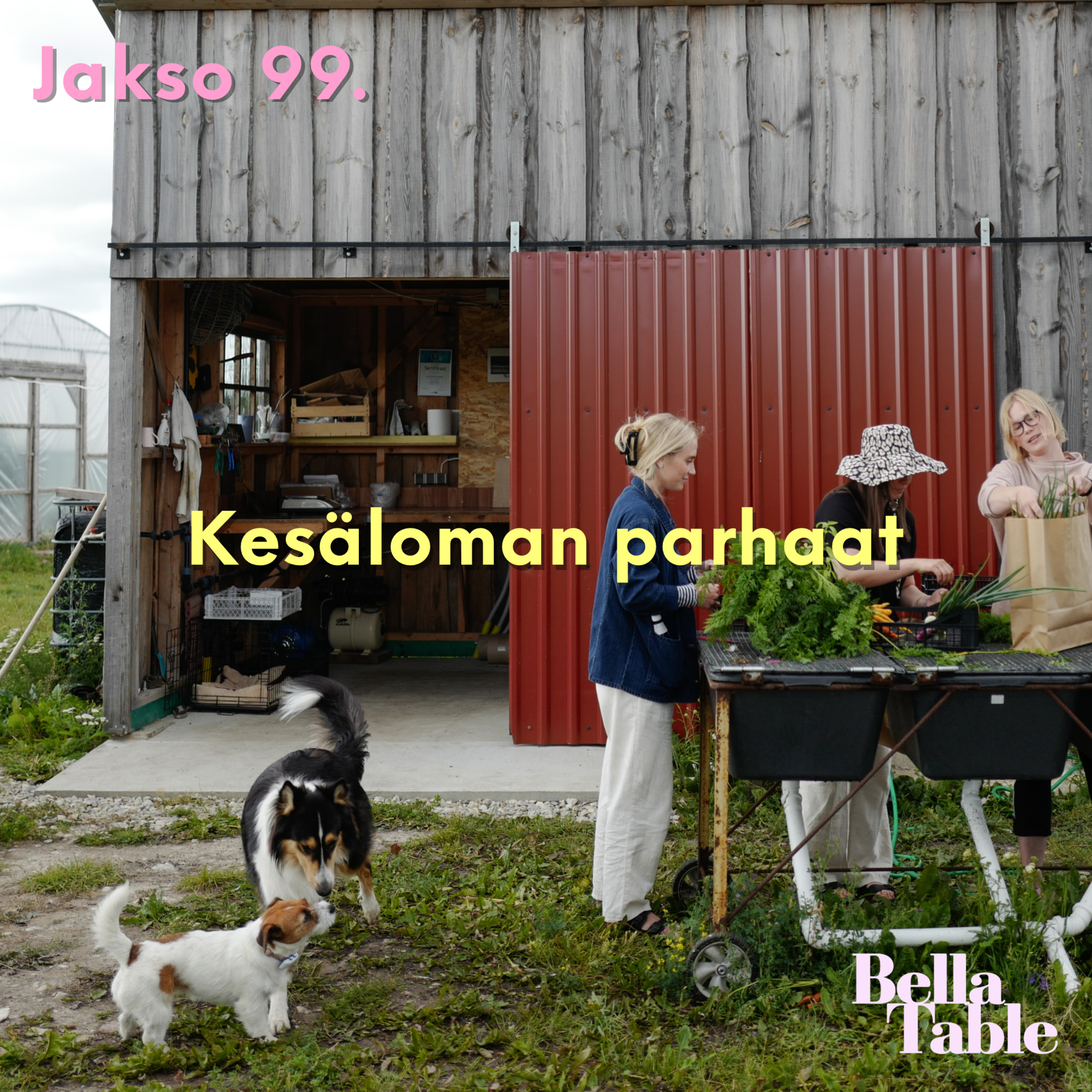99. Kesäloman parhaat episode artwork