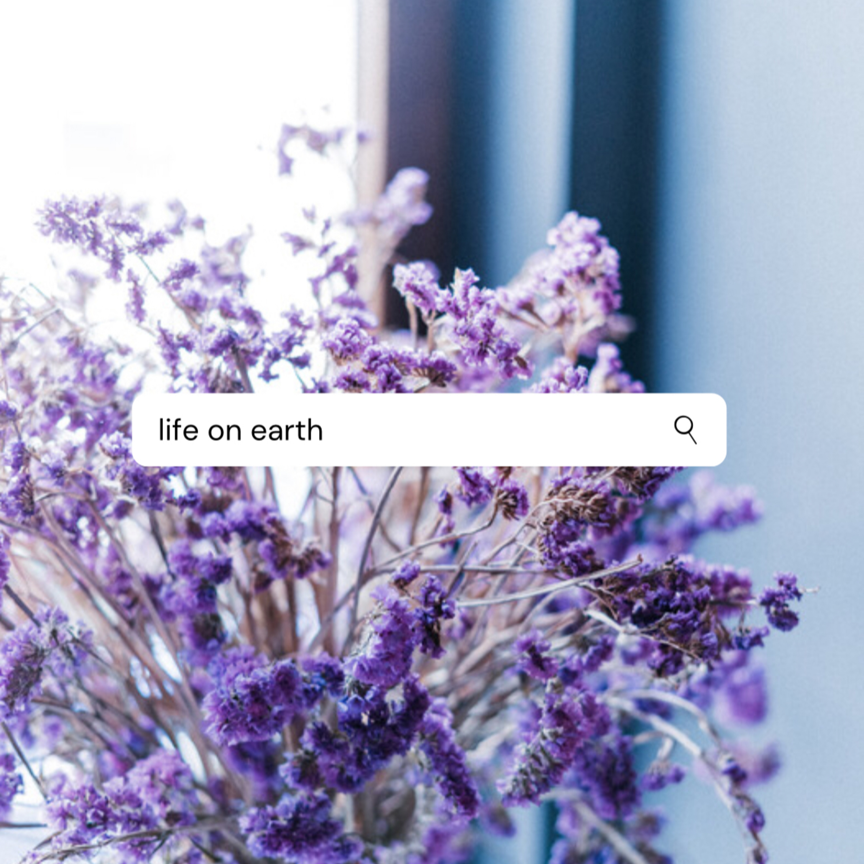 Life On Earth episode artwork