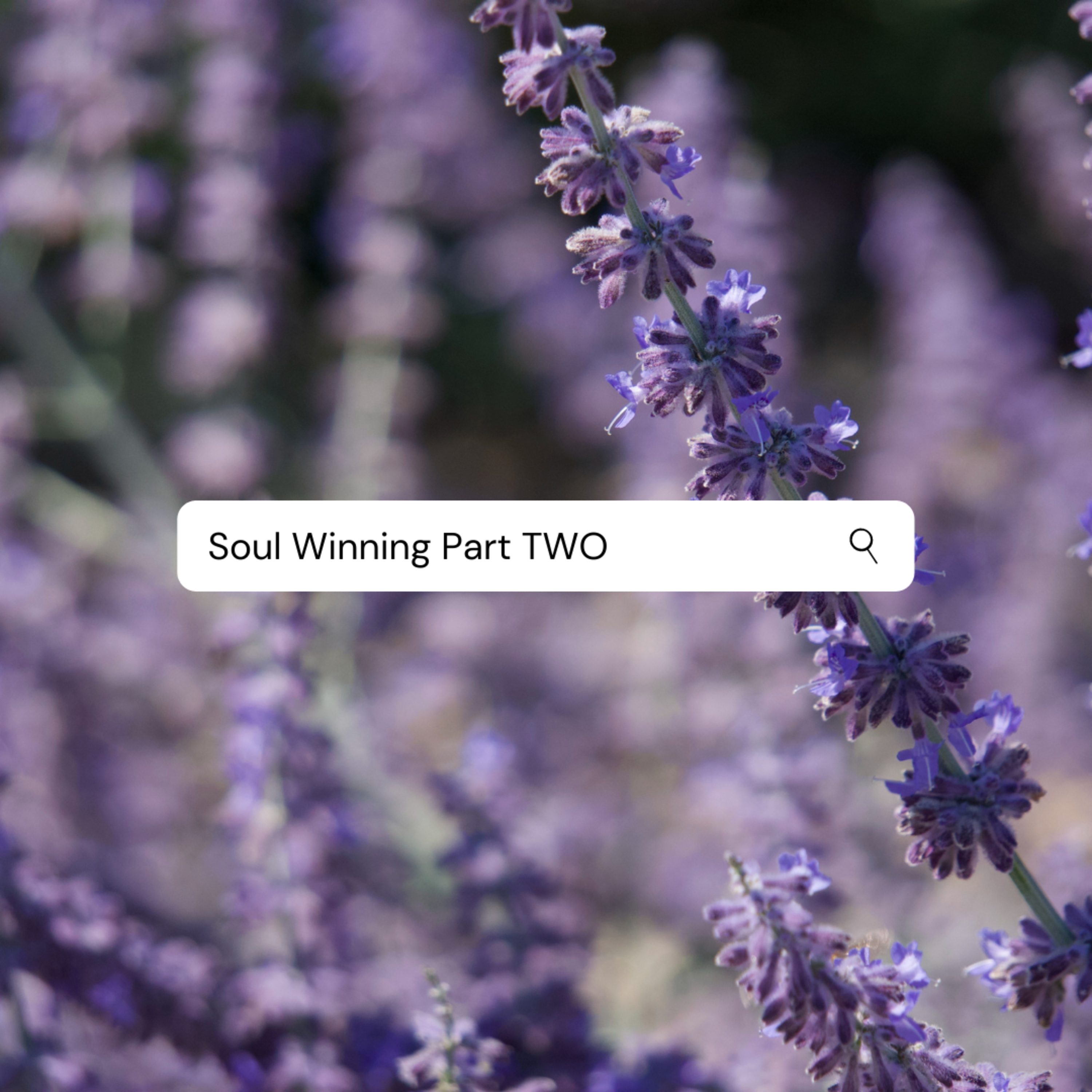 Soul Winning Part Two episode artwork