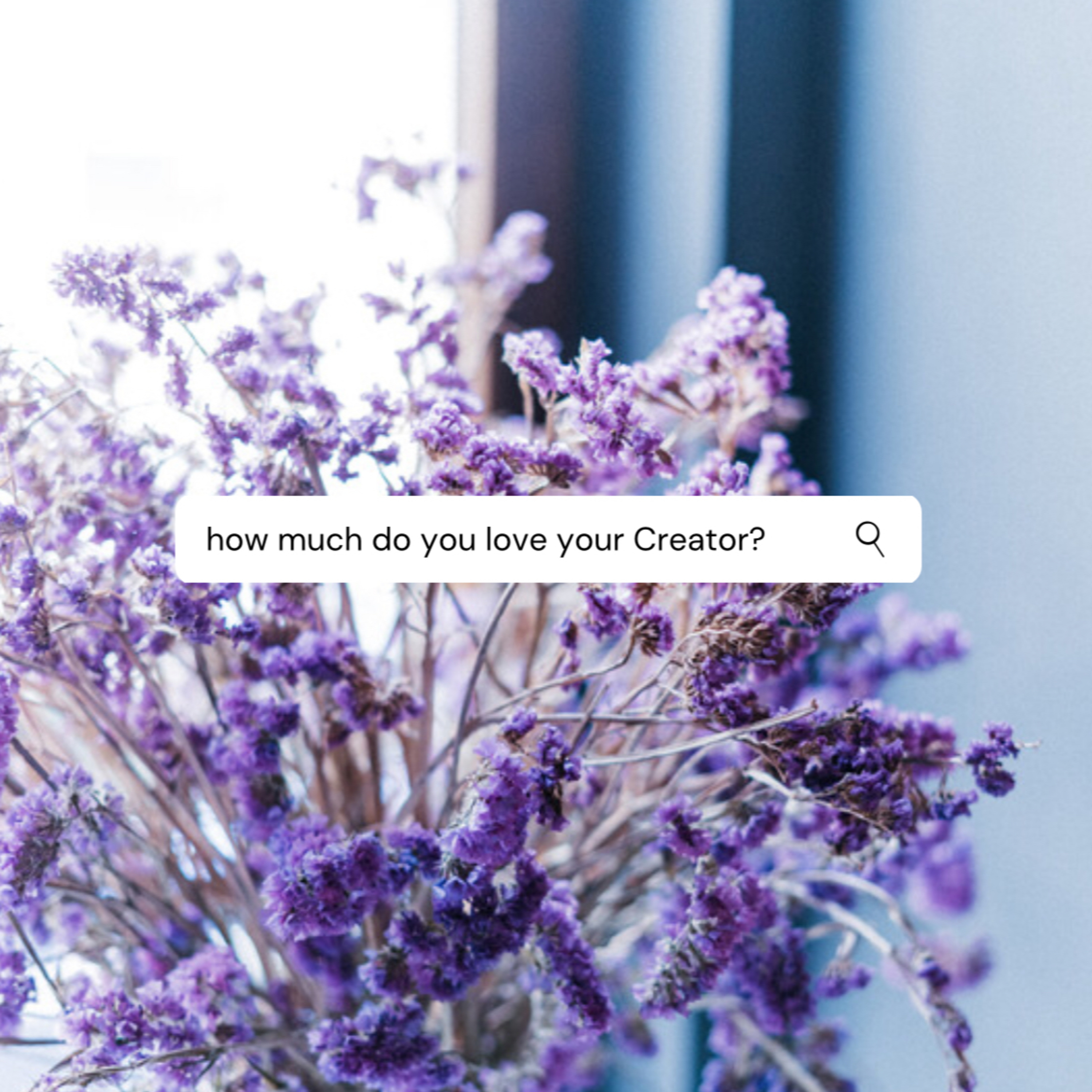 How Much Do You Love Your Creator? episode artwork