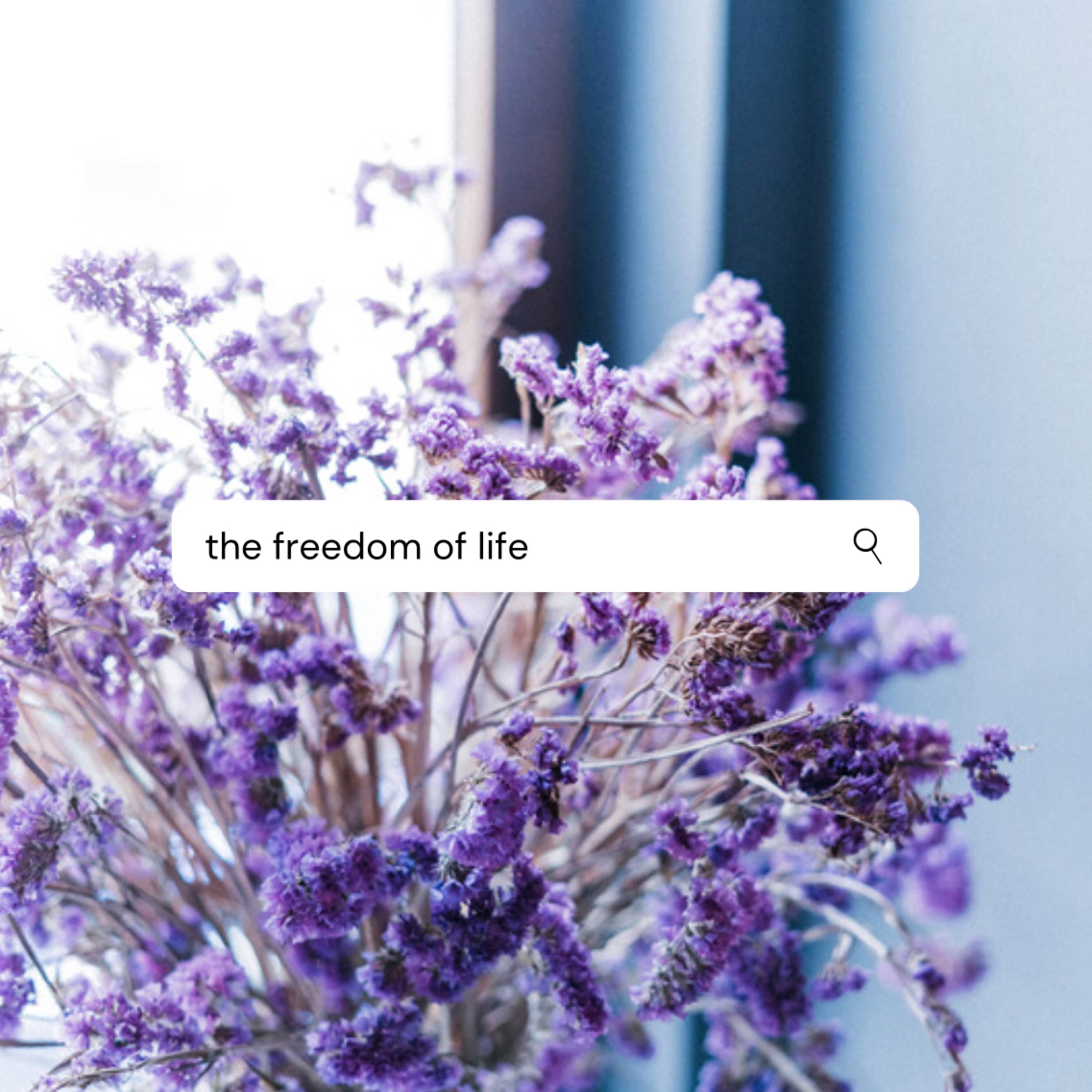 The Freedom of Life episode artwork