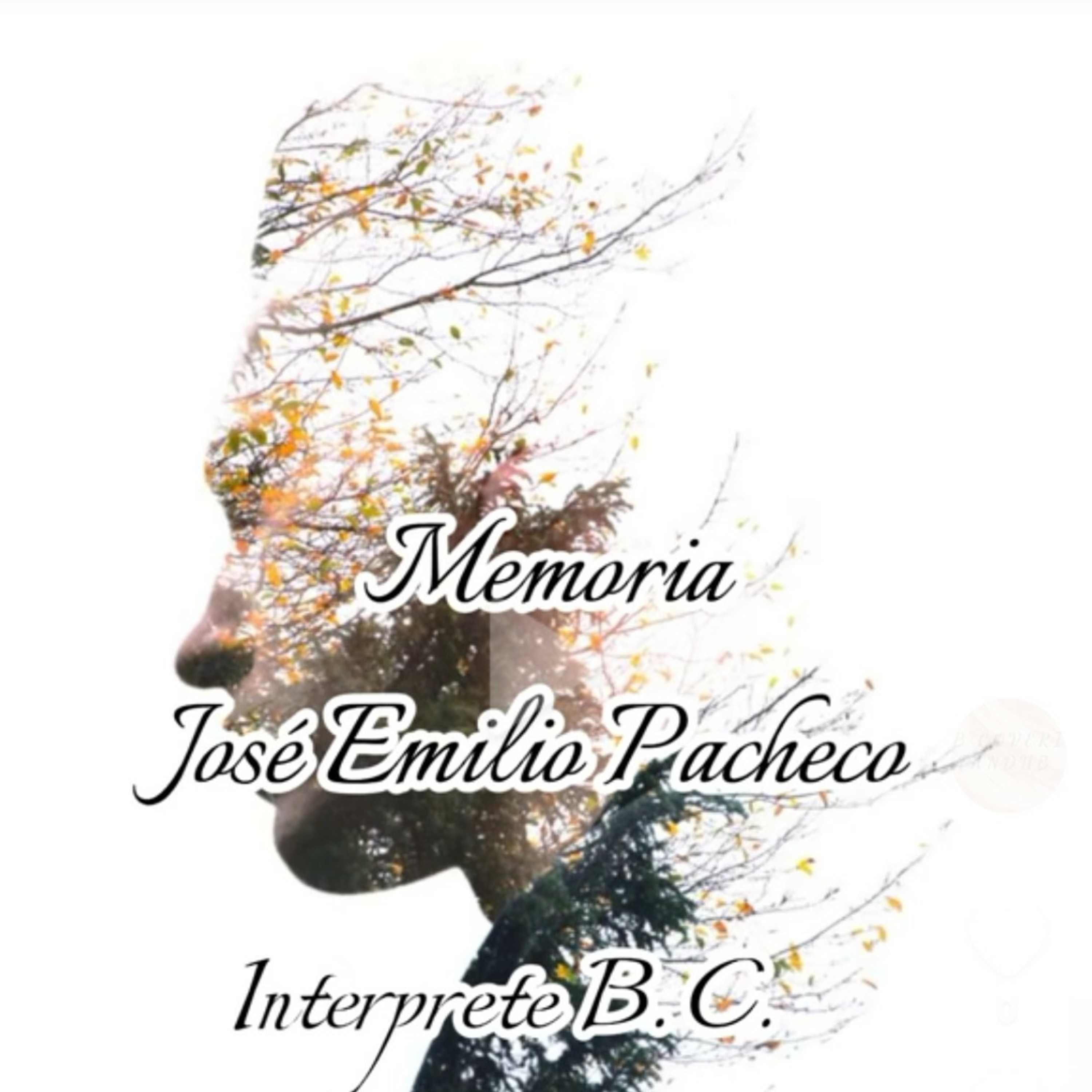 Memoria  episode artwork