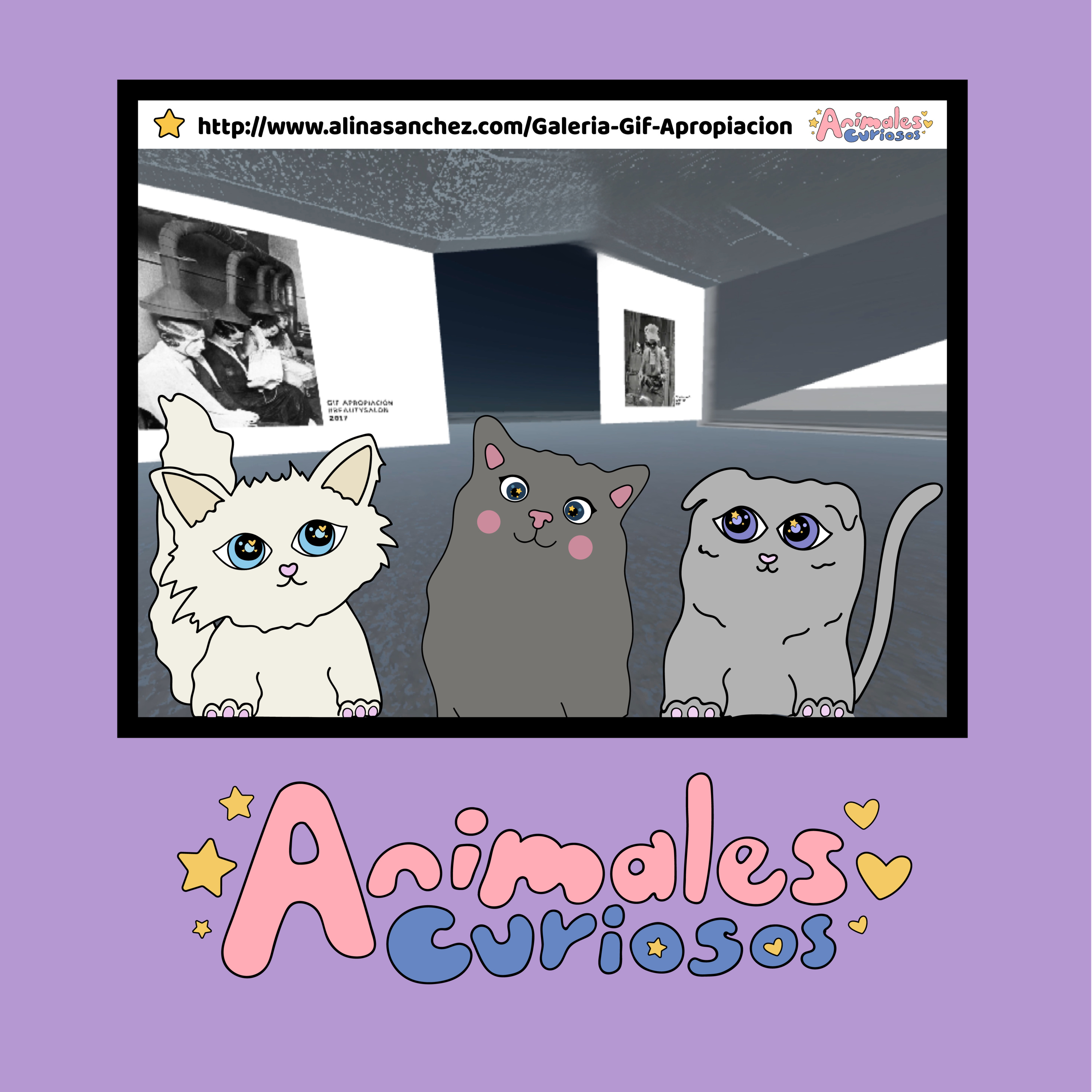 Animales Curiosos