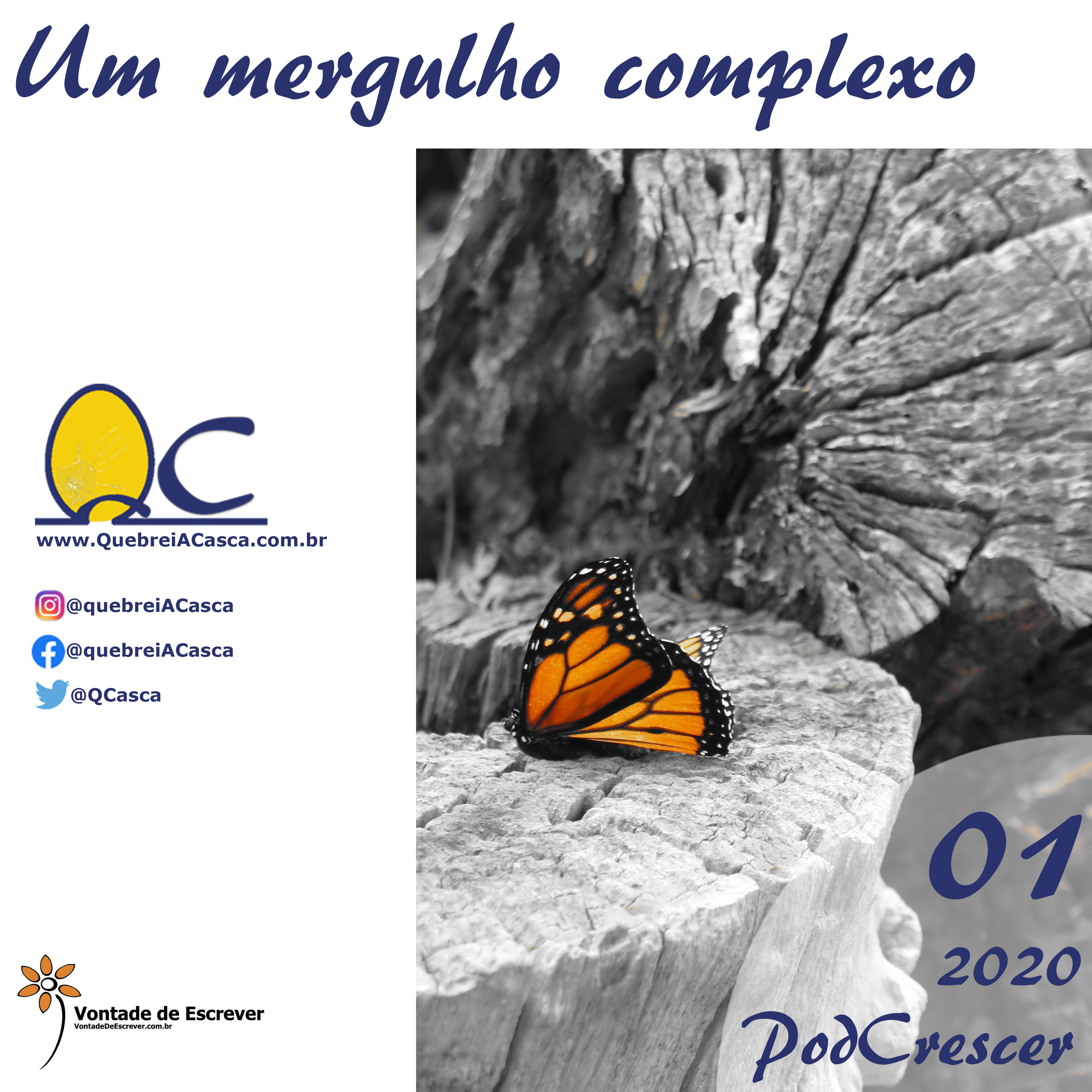 T2020-E01 - Um mergulho Complexo episode artwork