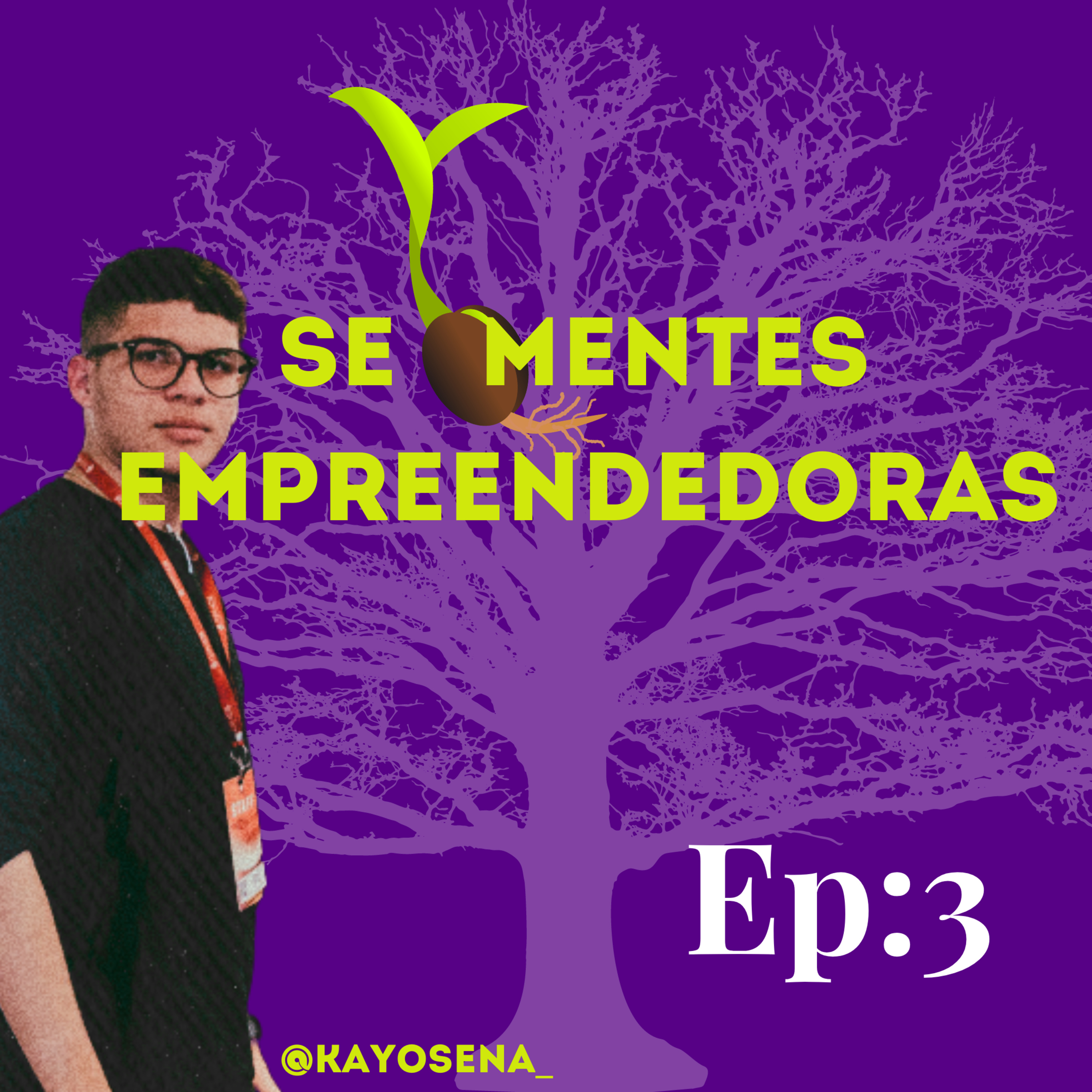 EP 3- principios do empreendedorismo episode artwork