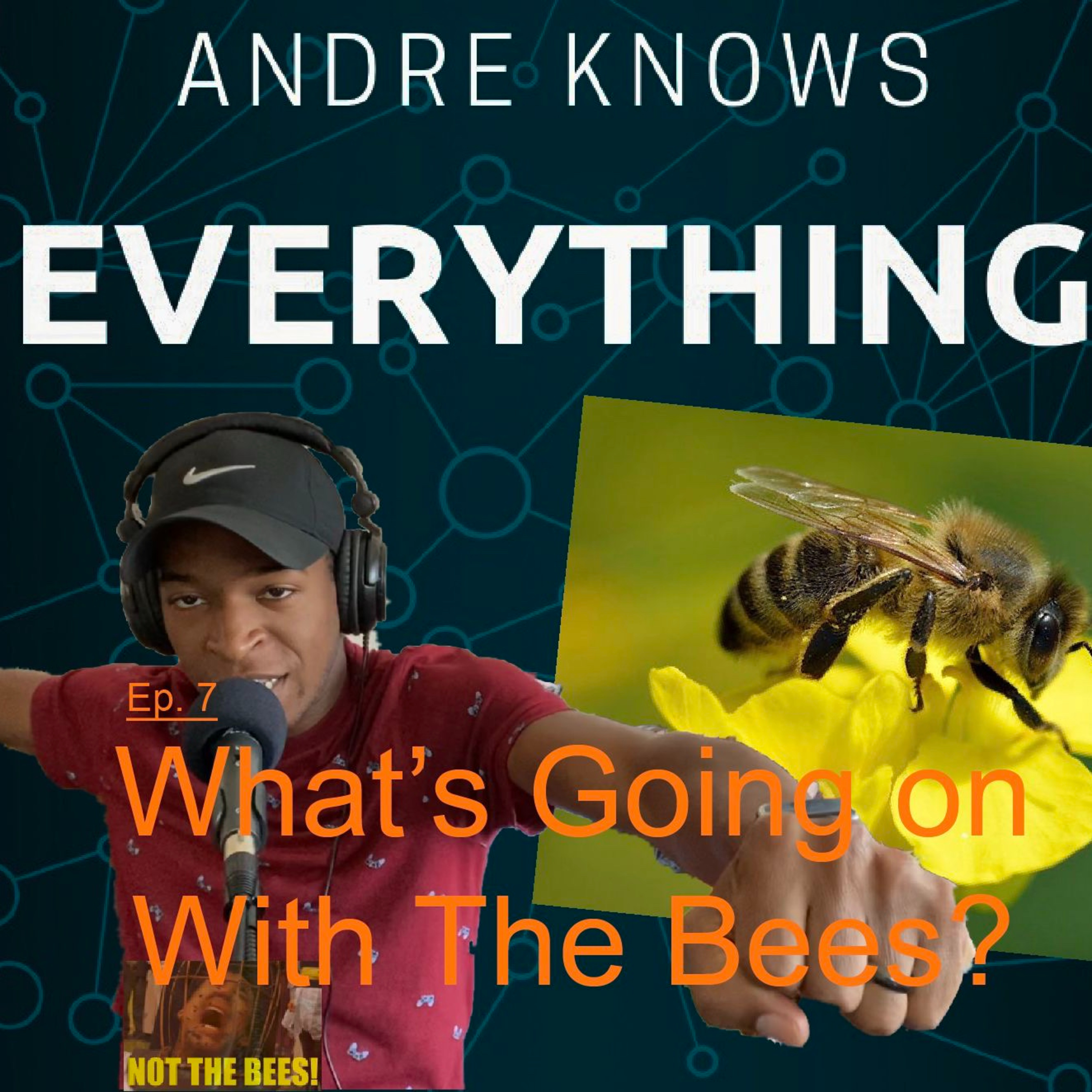 Andre Knows Everything