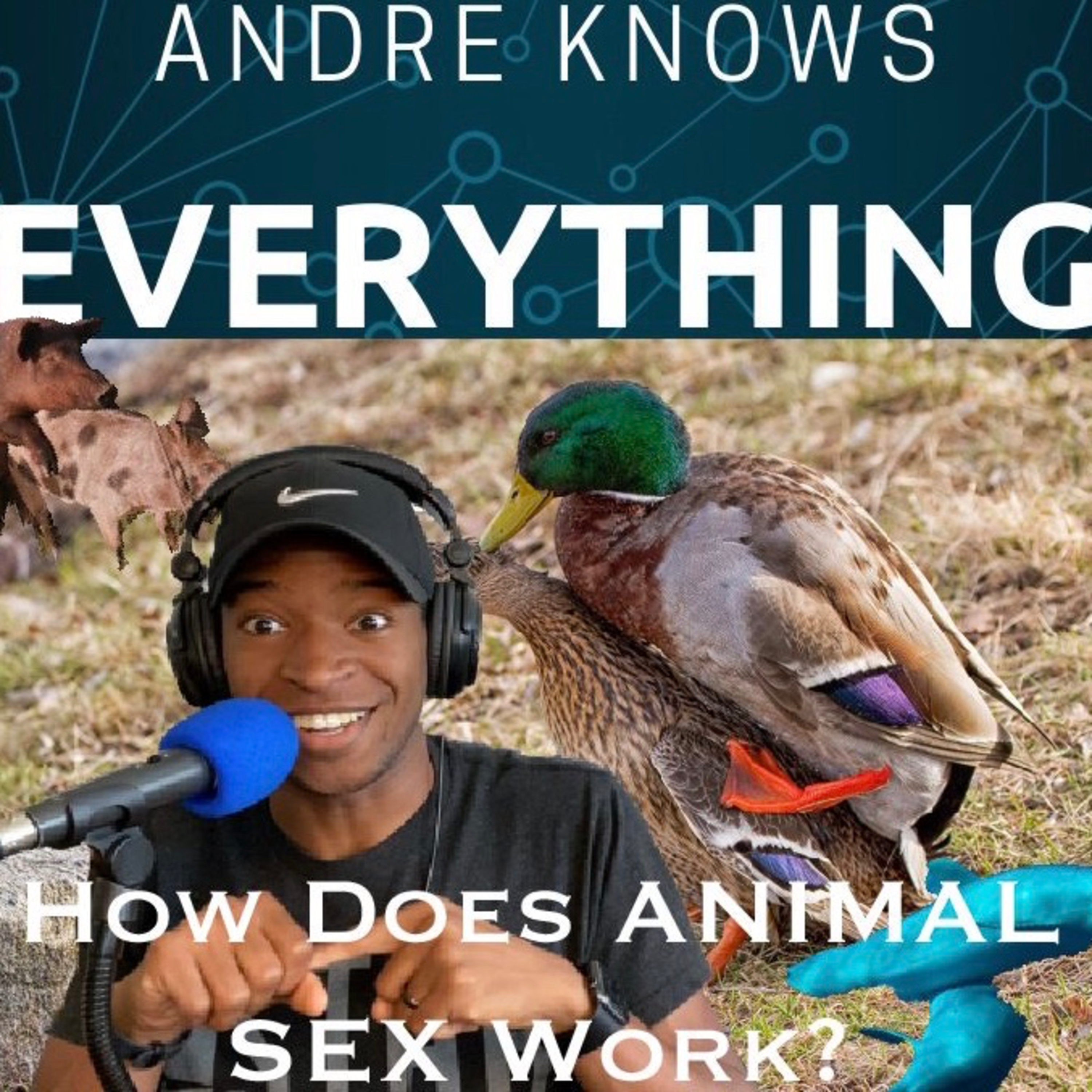Andre Knows Everything