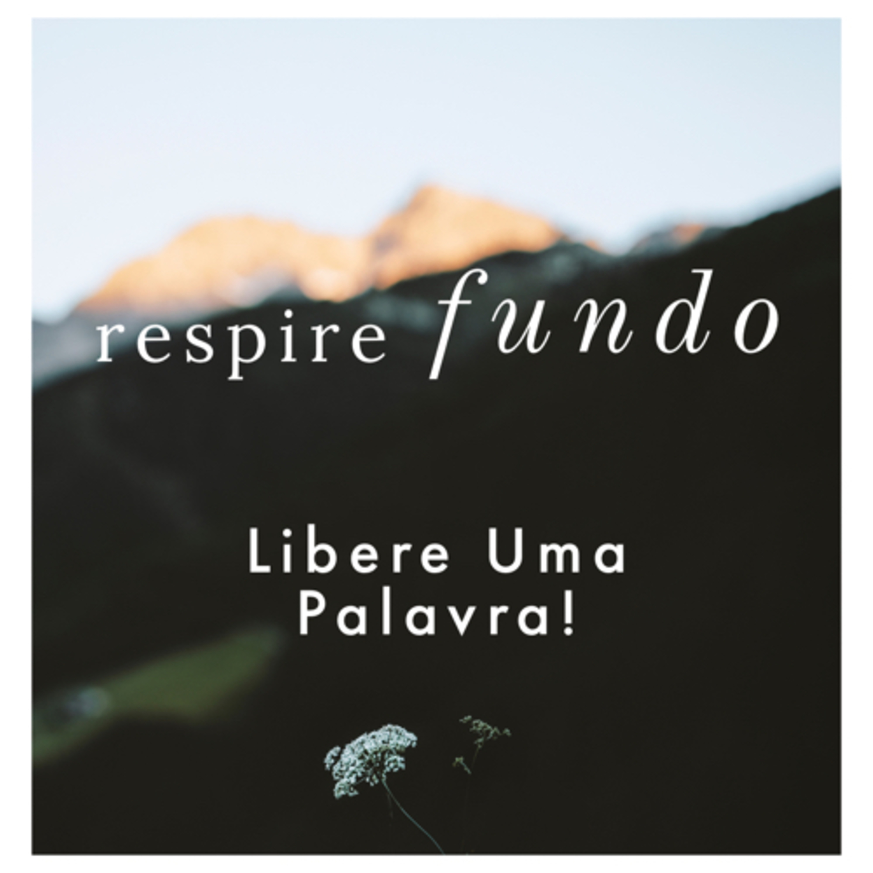 Ap. Ricardo Figueiredo