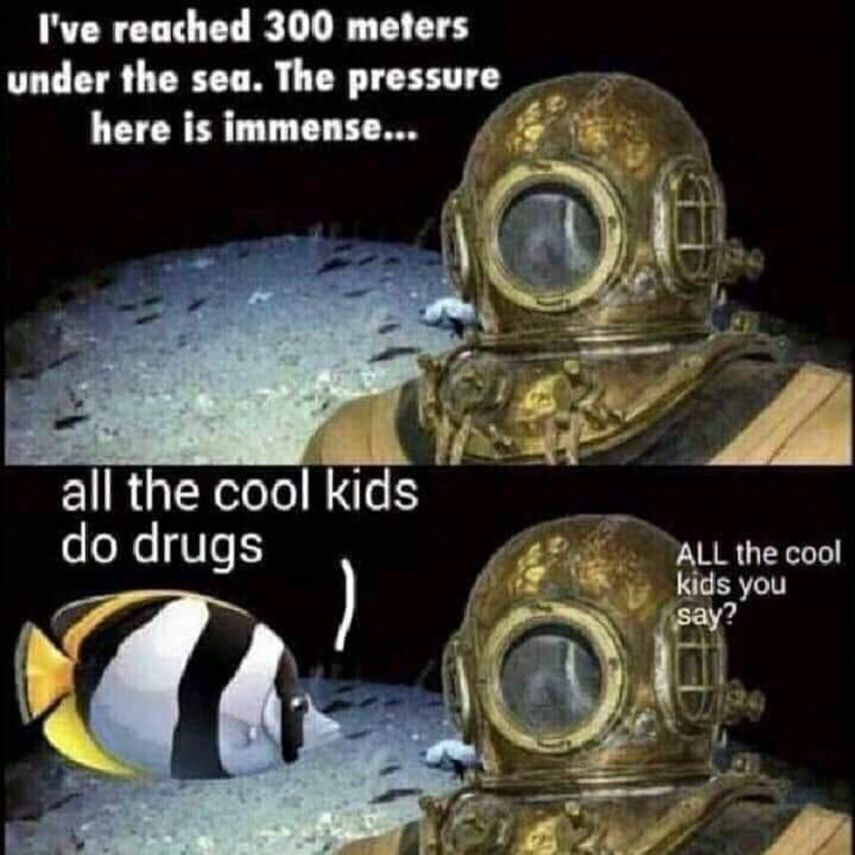 The Archives
