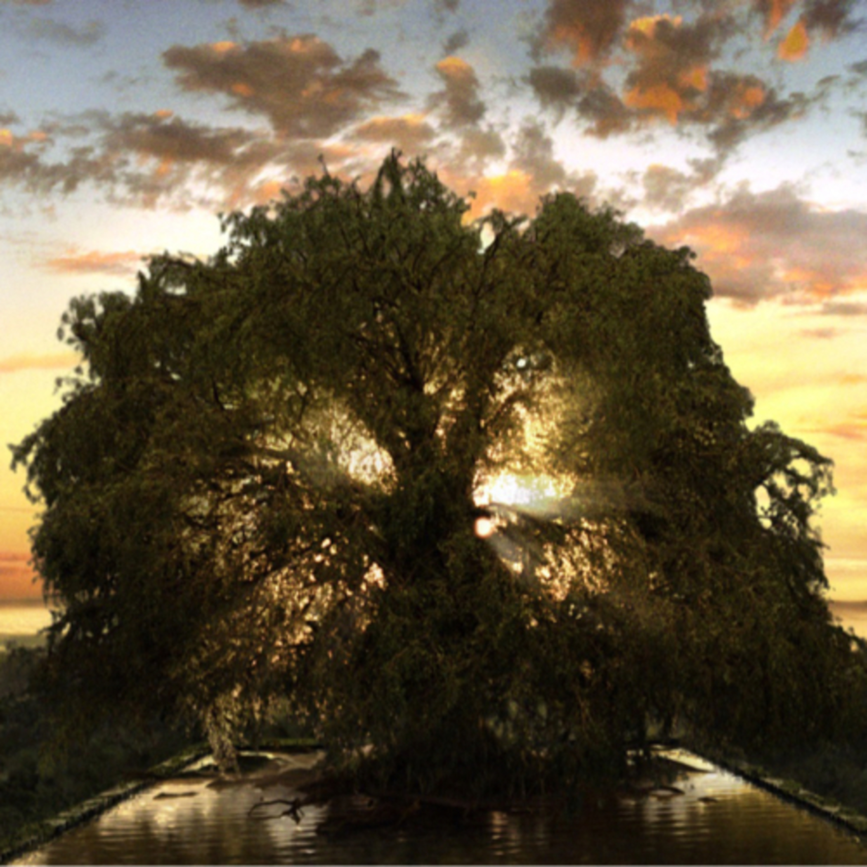 Revolution Ramblings