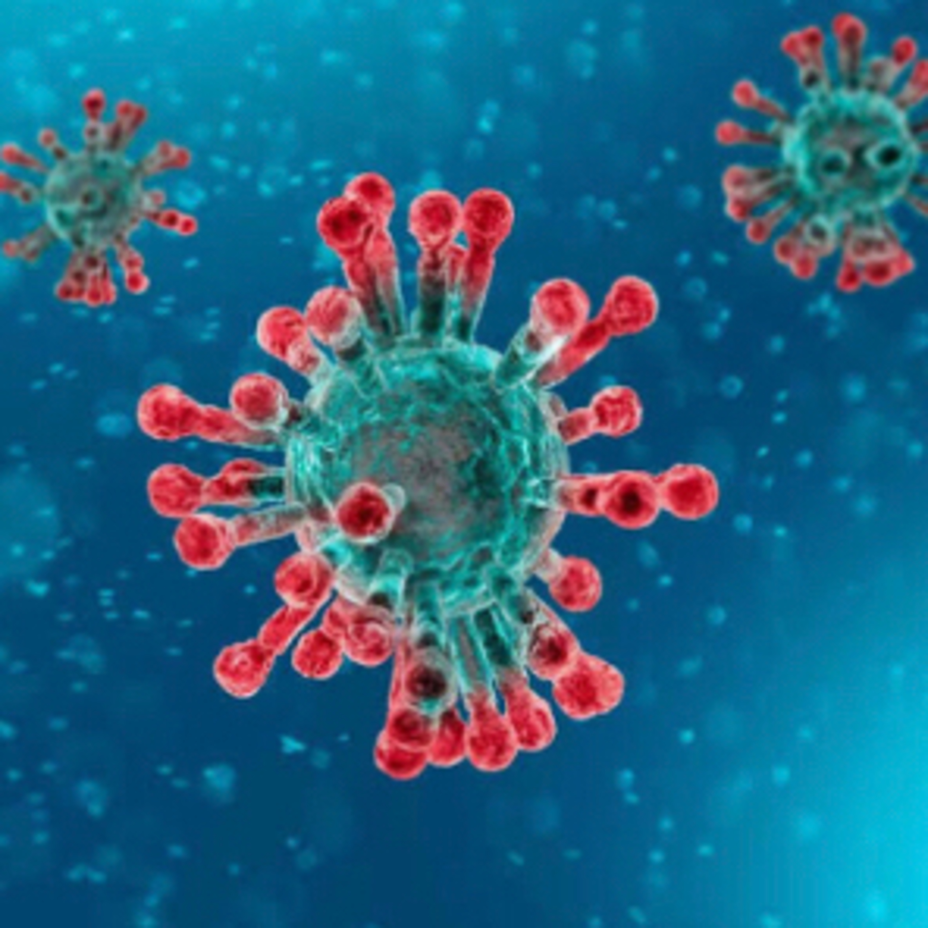 Coronavirus 