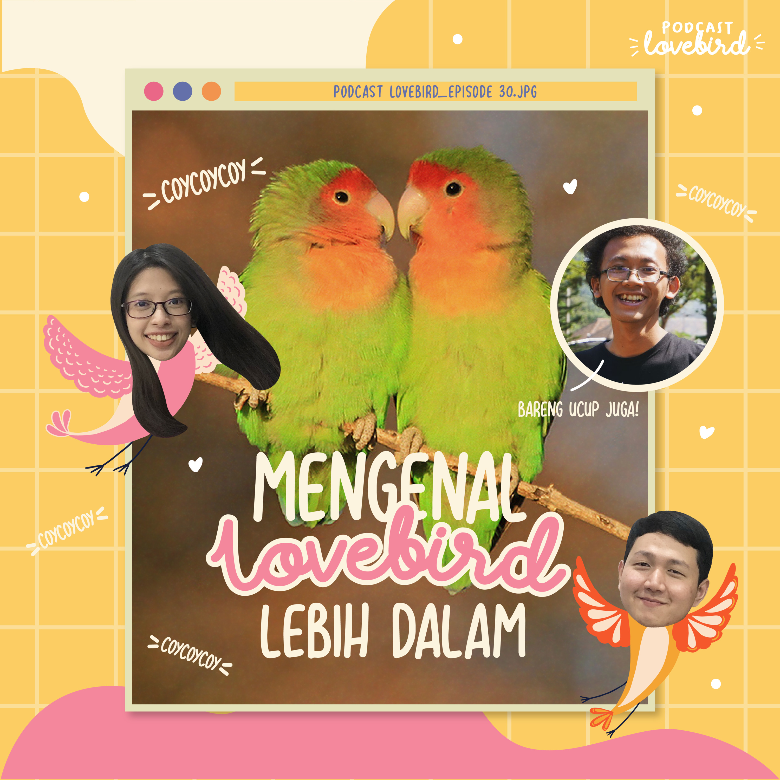 #30: Mengenal Lovebird Lebih Dalam episode artwork