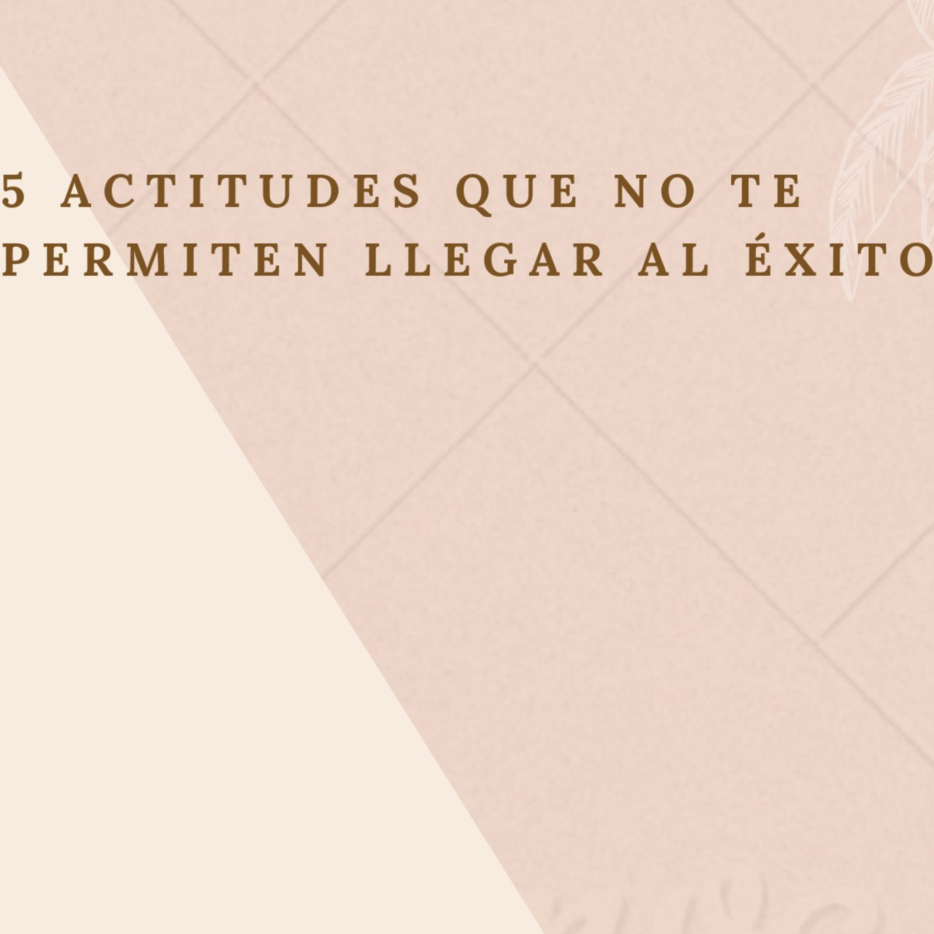 Entrevistando A Famosos.