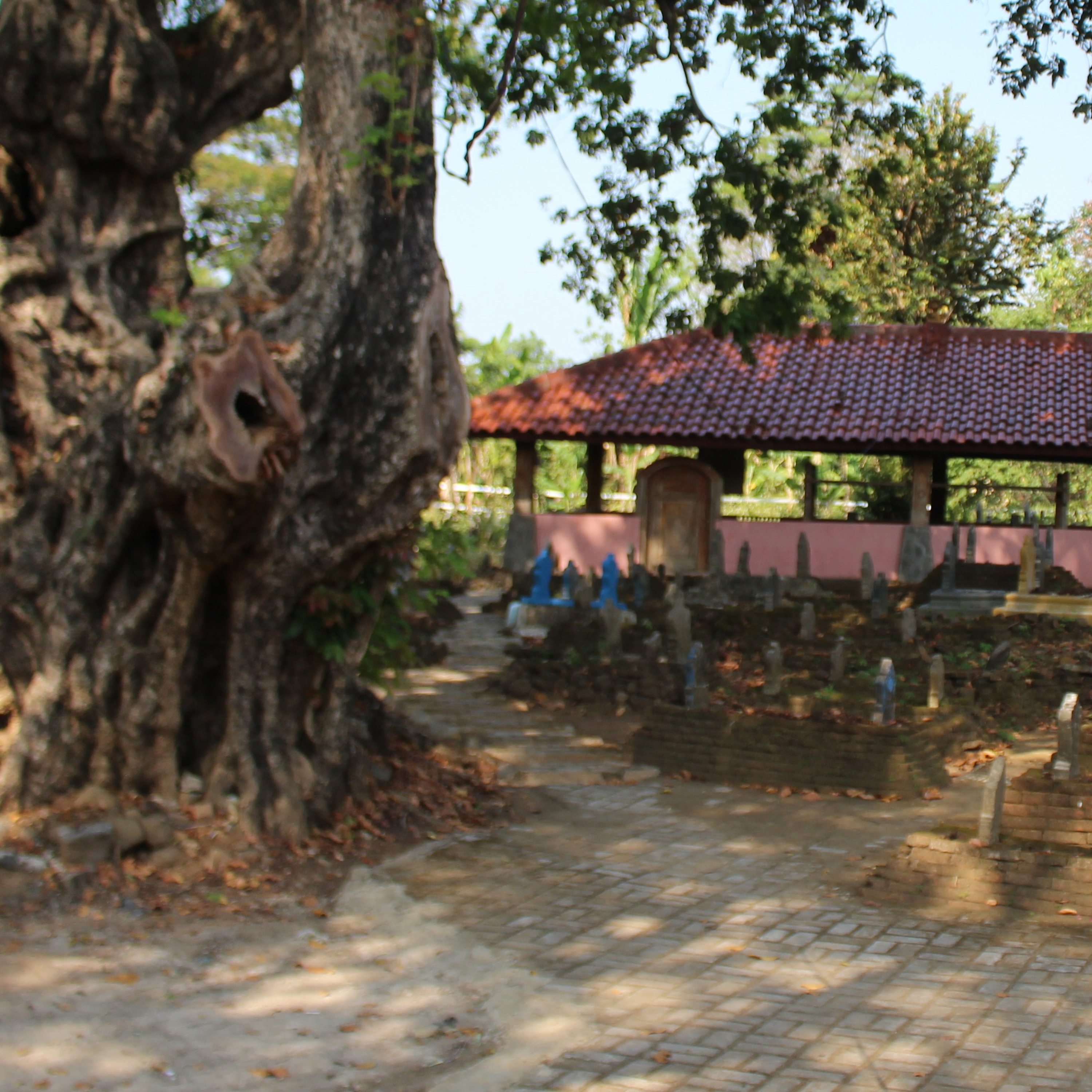 The ambyar
