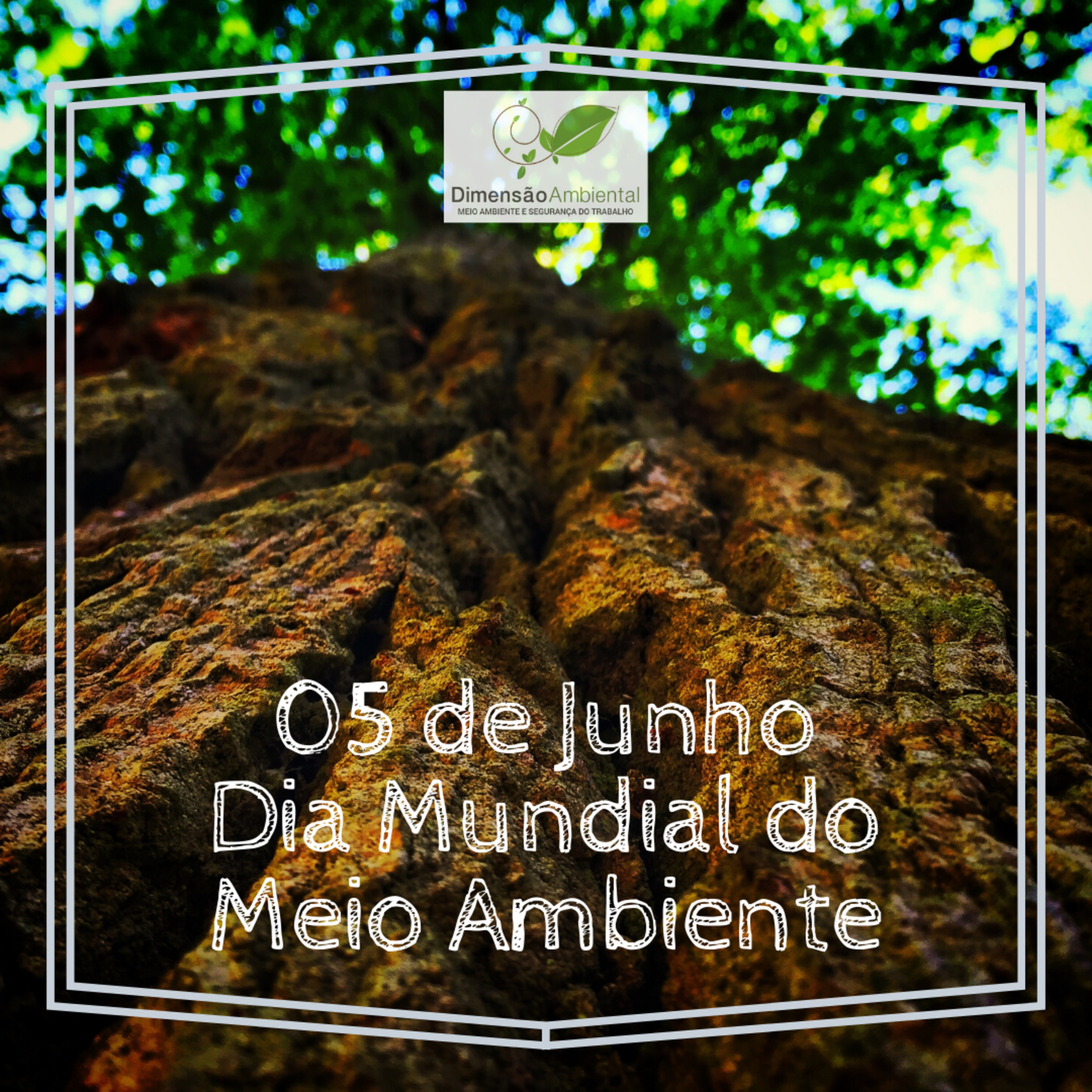 Dia do Meio Ambiente - O que eu posso fazer para auxiliar na preservação ambiental? episode artwork