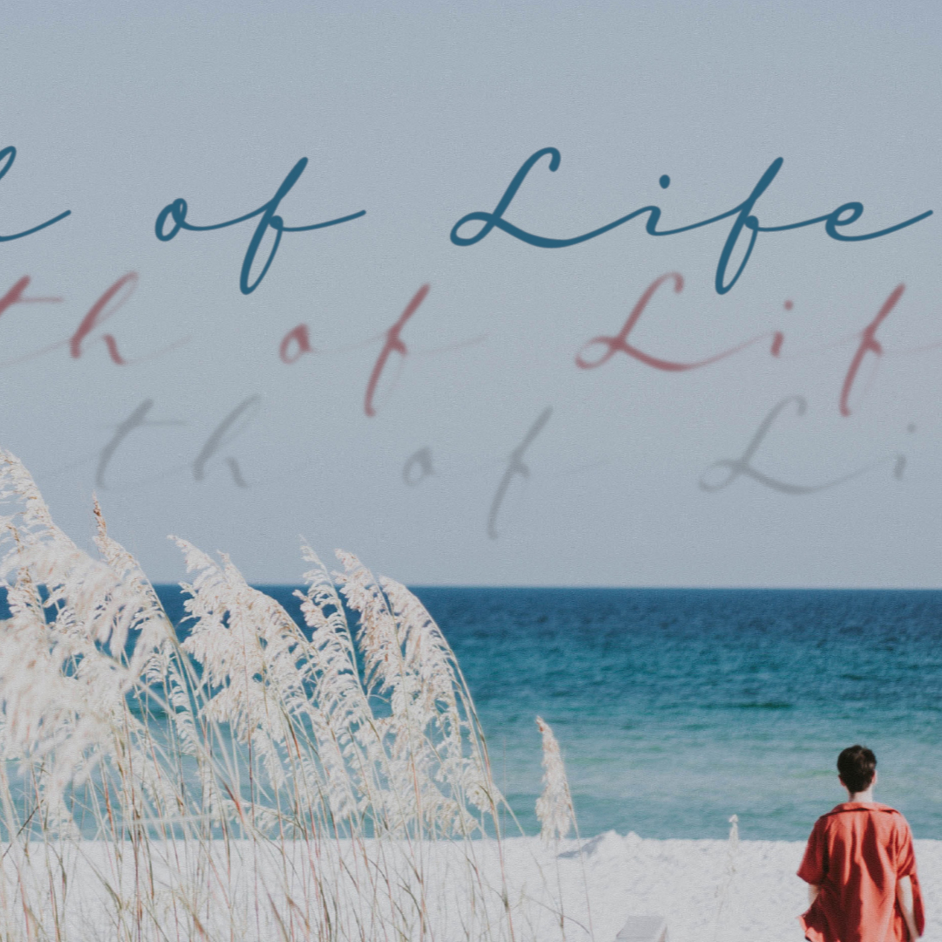 Breath of Life | Pastor Peter Degon episode artwork