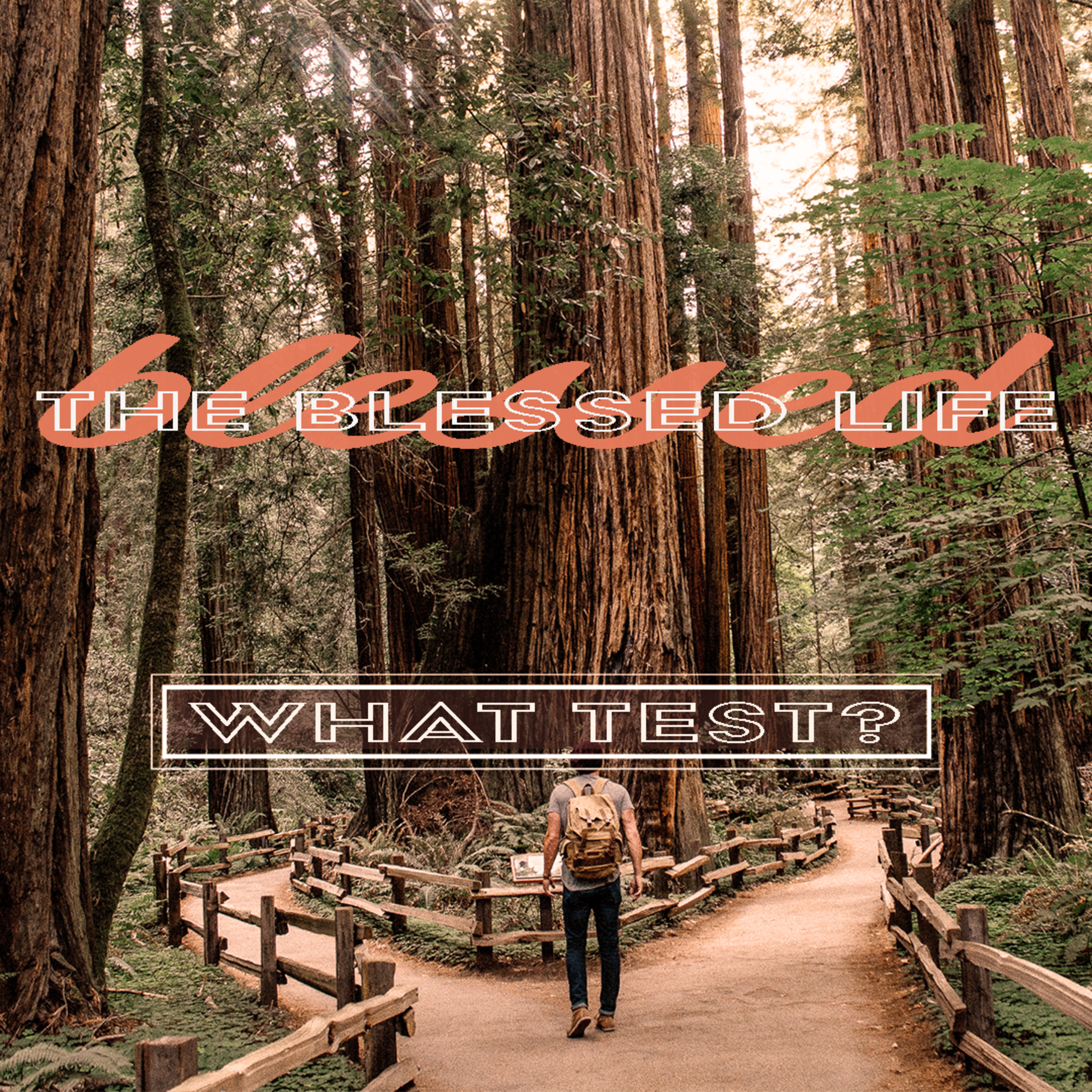 The Blessed Life: What Test? | Pastor Jeff Duchemin | October 3, 2021 episode artwork