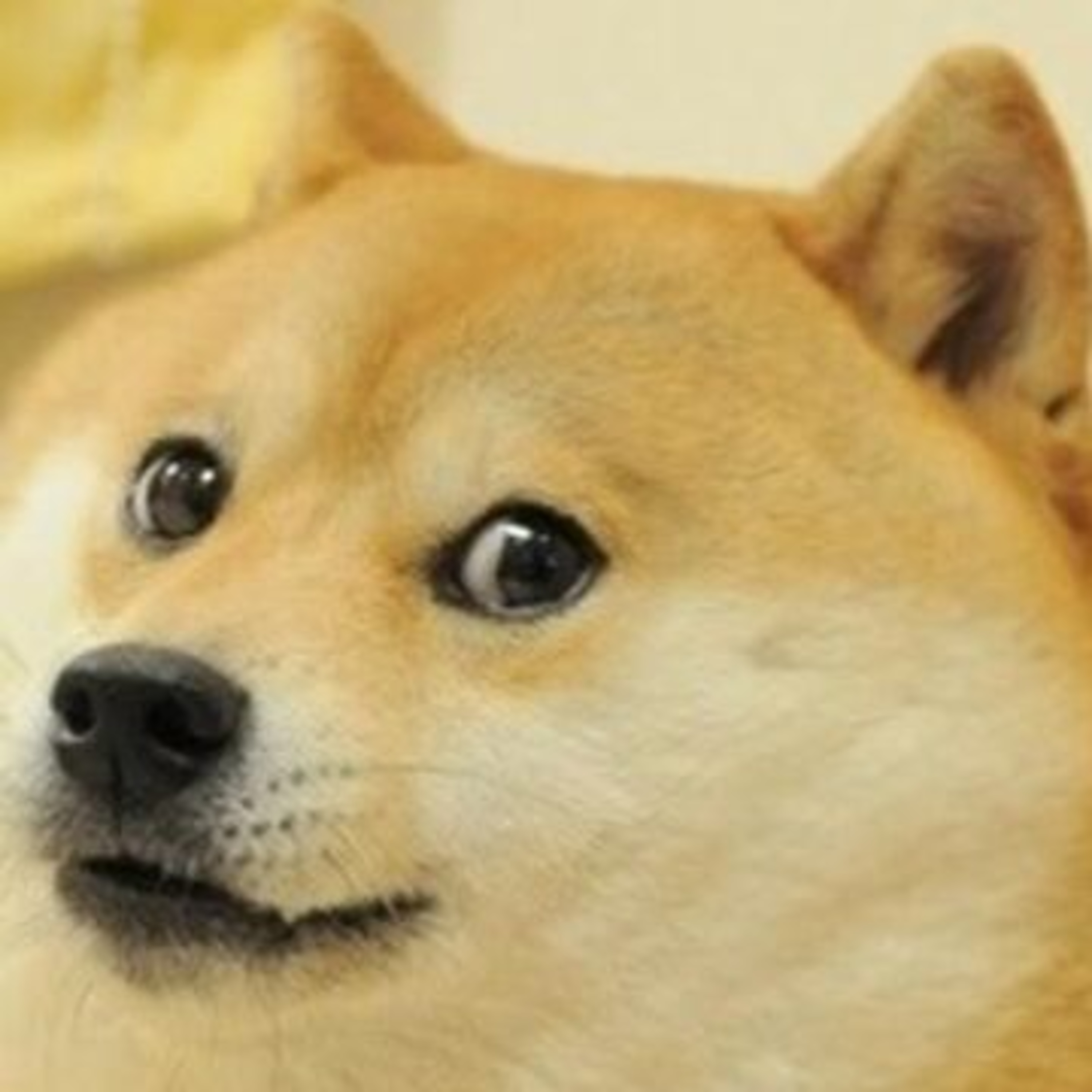 Doge episode artwork