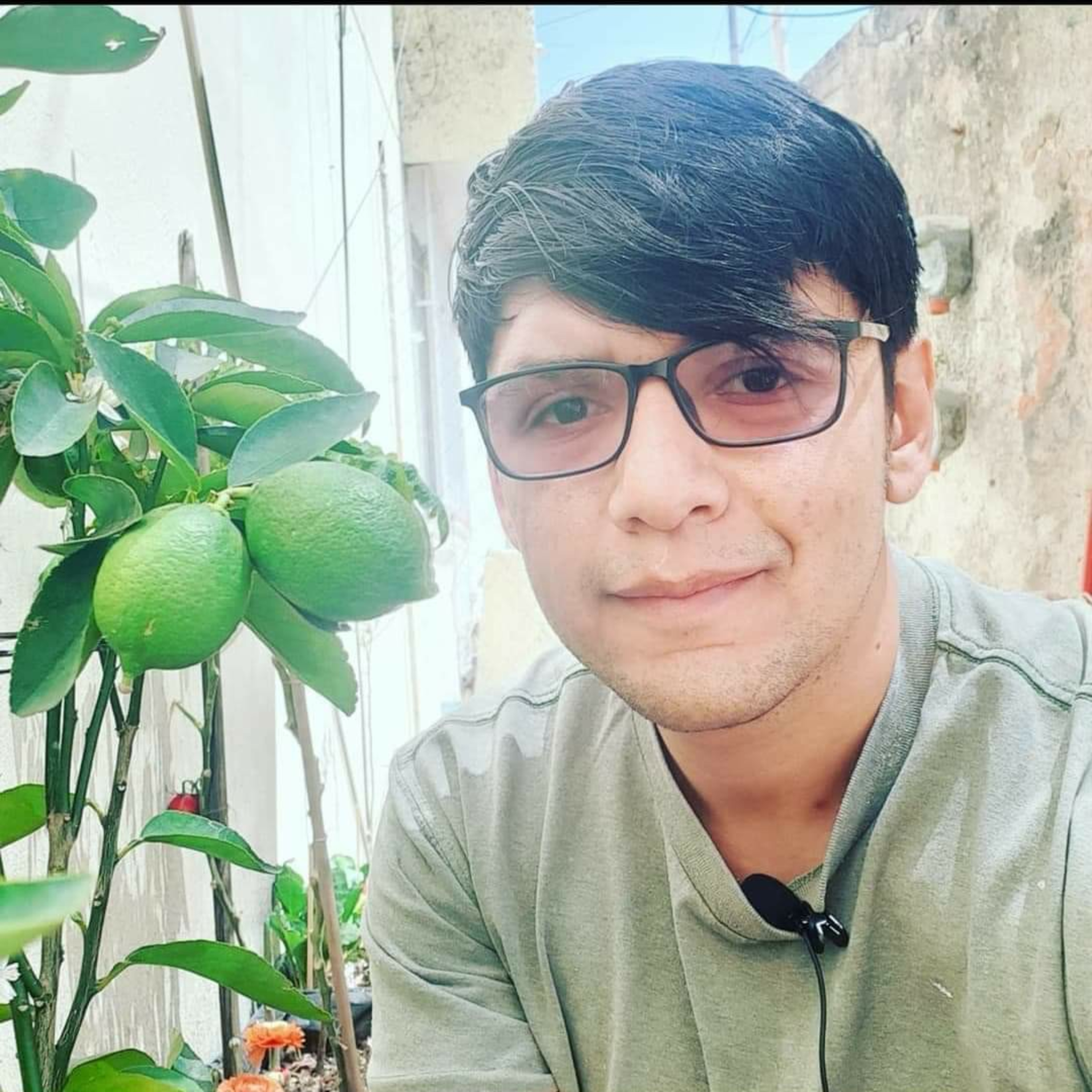Animales, Plantas Y Un Poco Más