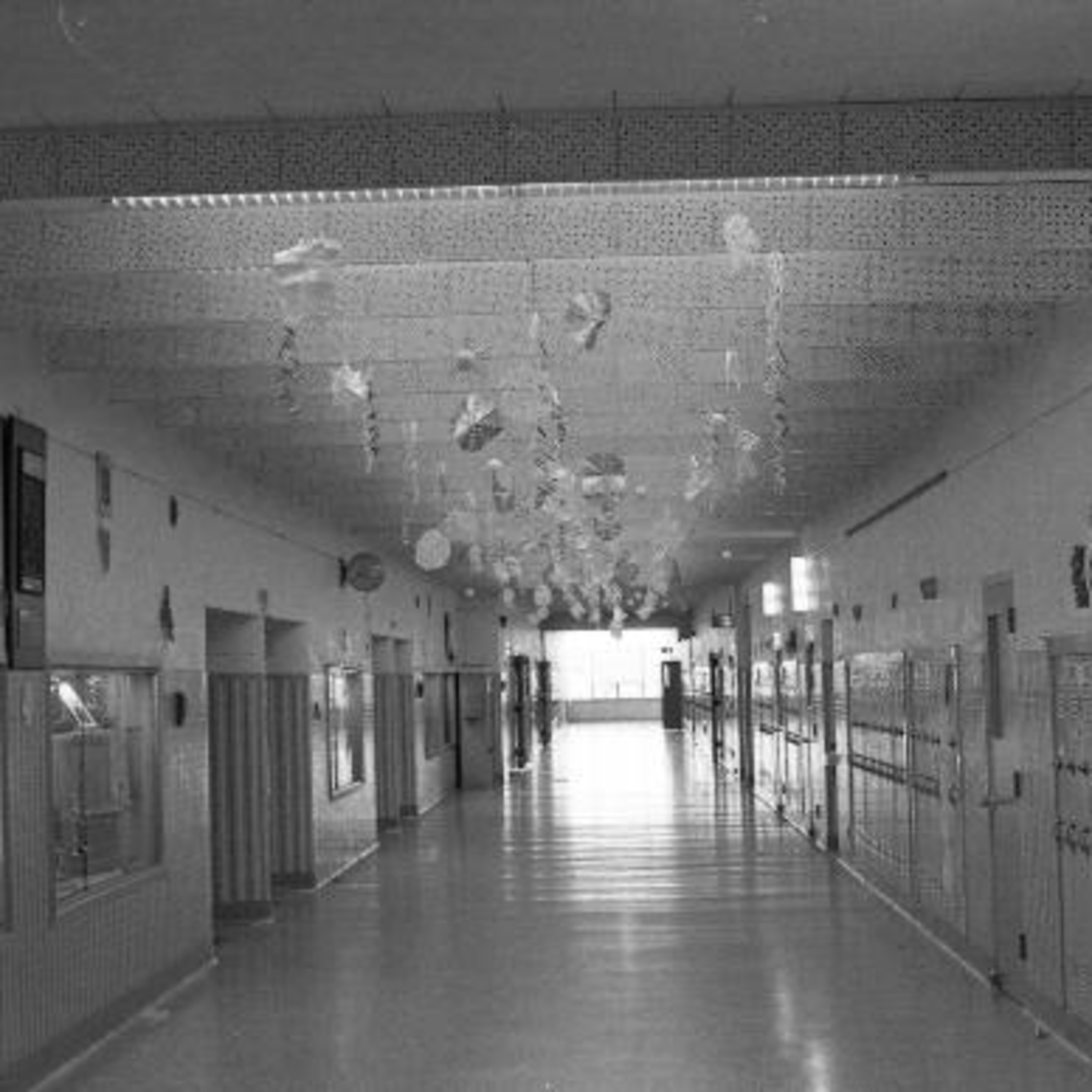 5th Side of the Ring