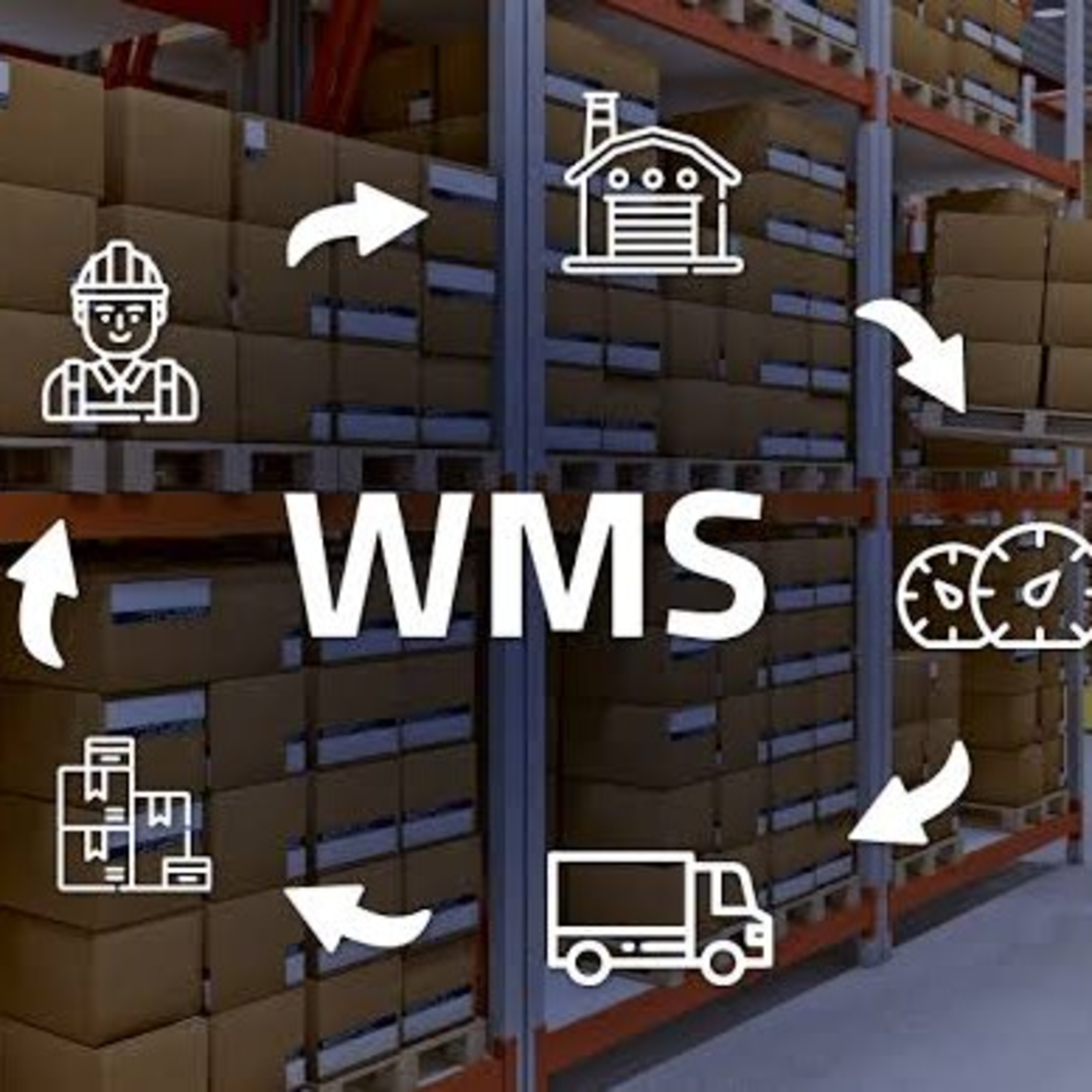 Sistema WMS episode artwork