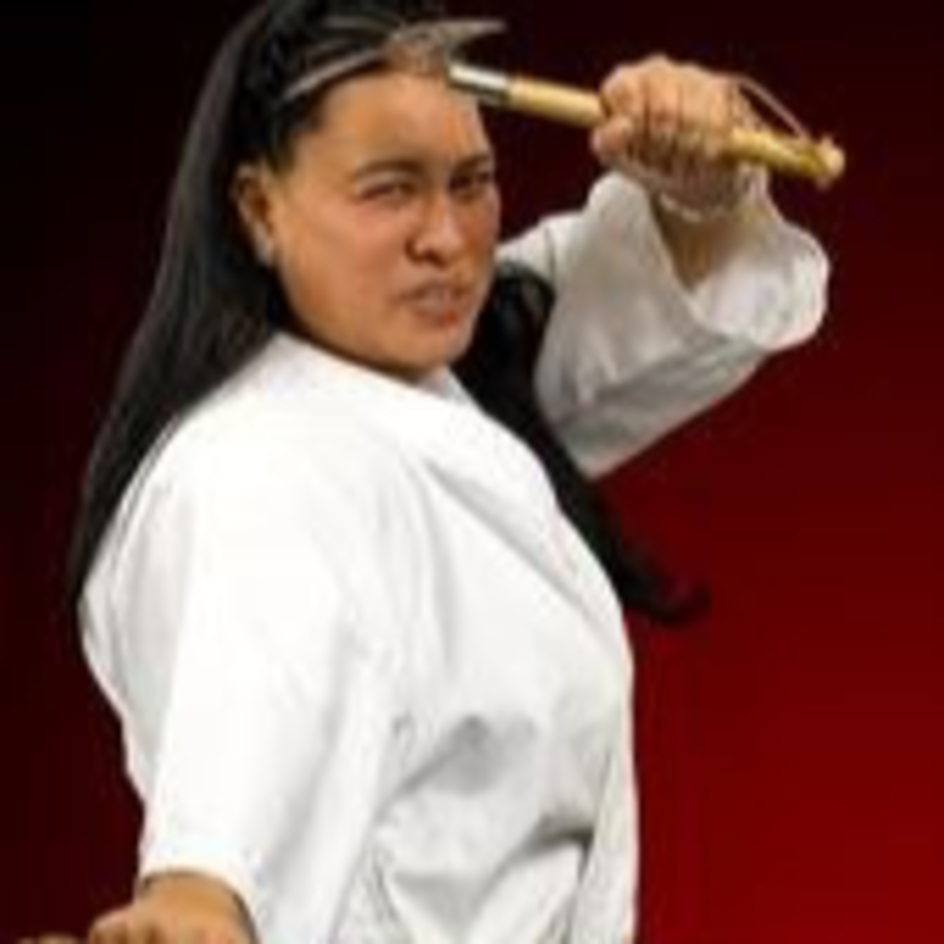 WFM - World Federation of Elite Martial Arts
