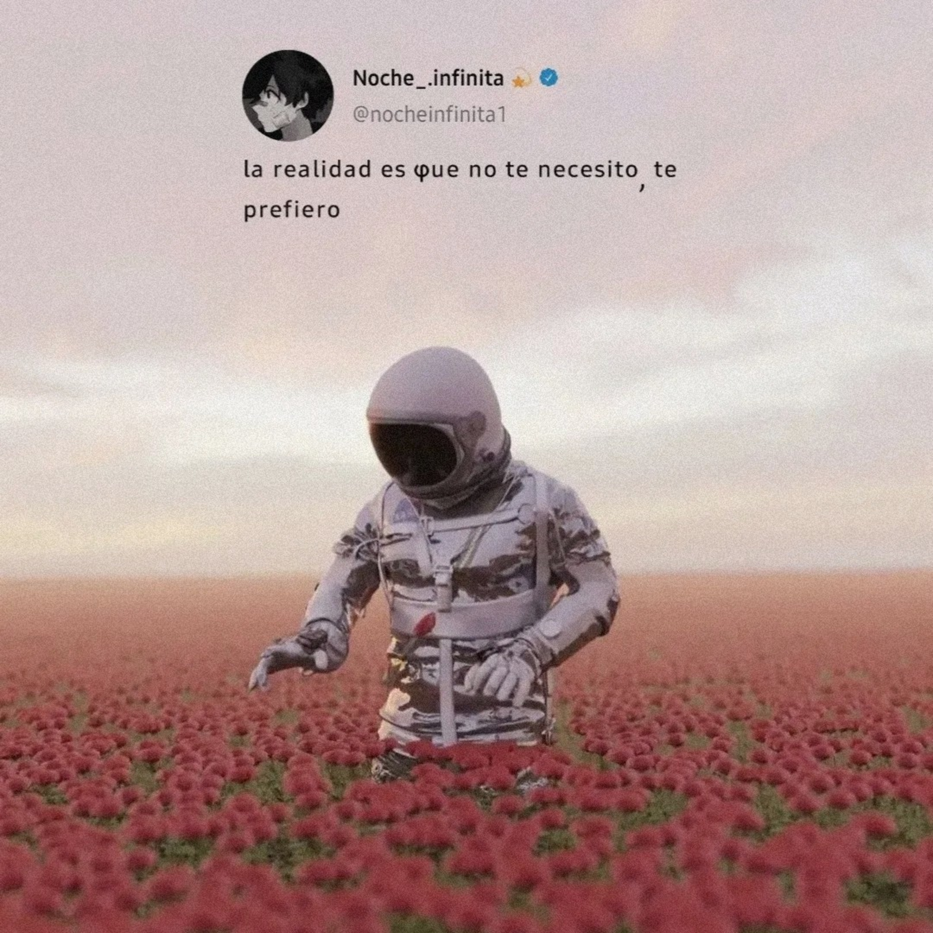 SON MIS INVITADOS