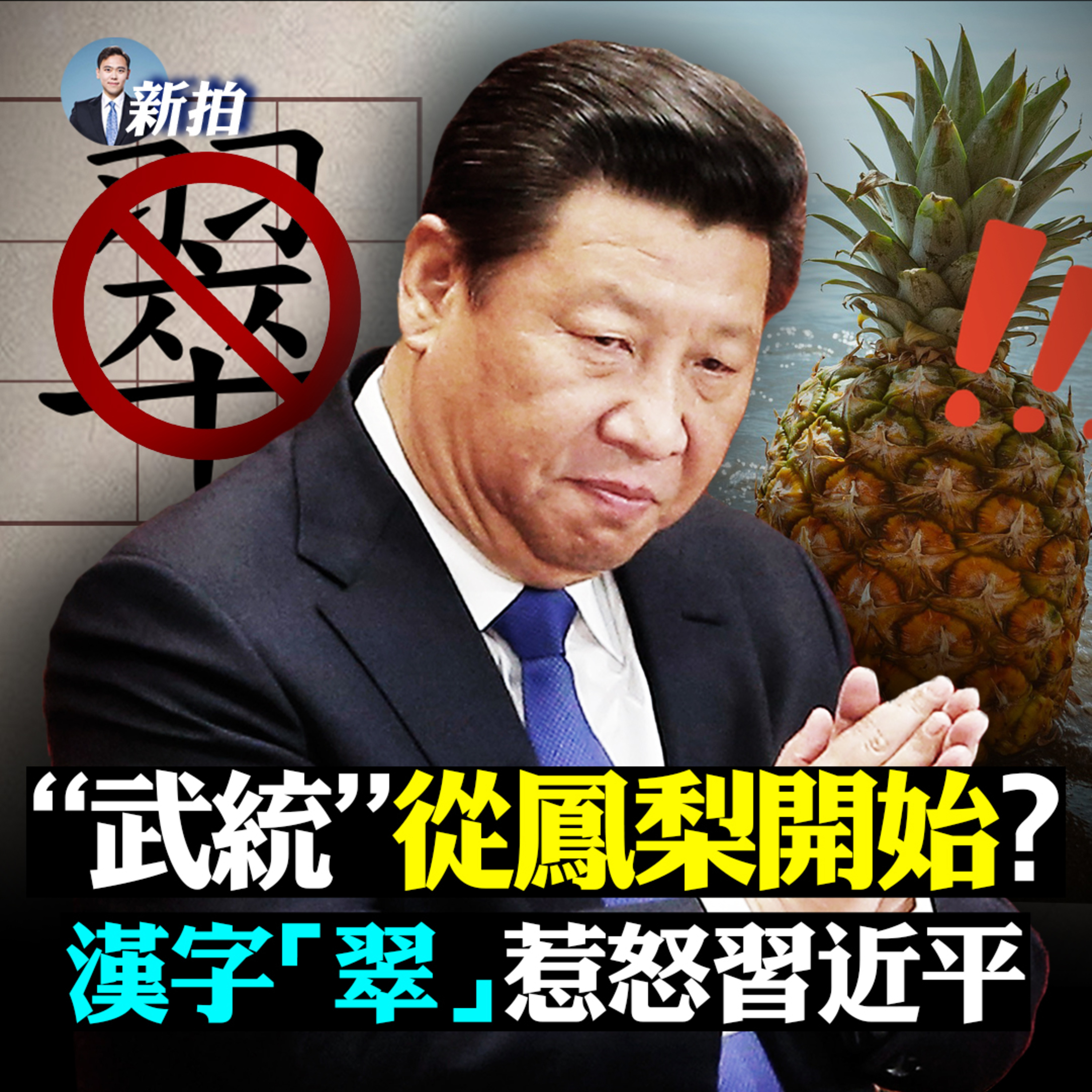 新聞拍案驚奇 大宇