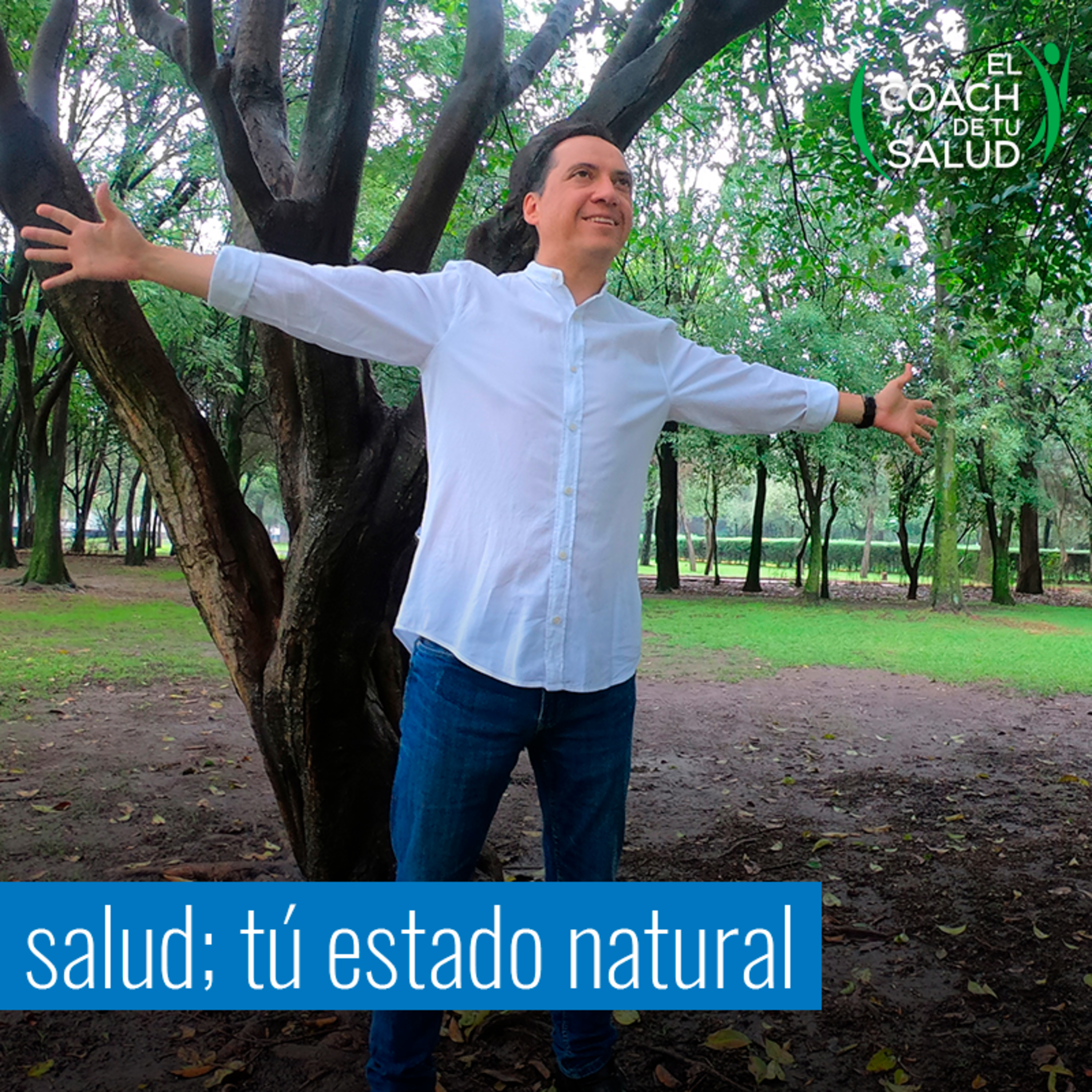 Alimentos sanos son igual a salud, alimentos incorrectos son igual a enfermedad episode artwork