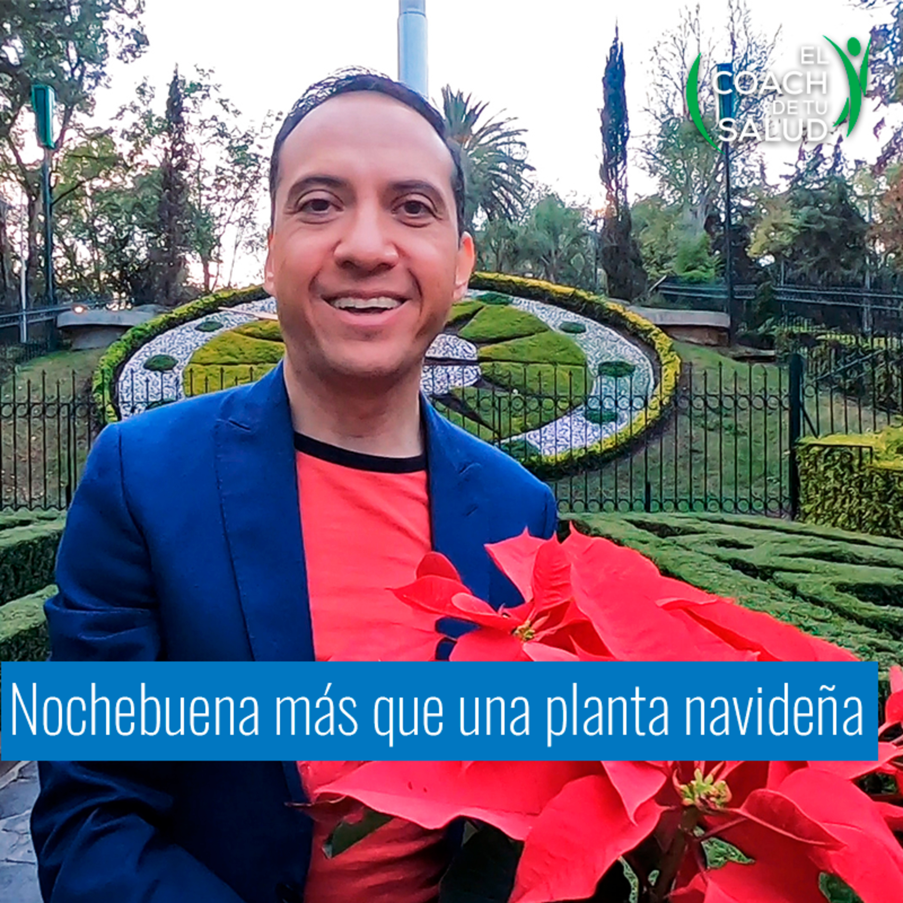 La Nochebuena y sus virtudes episode artwork