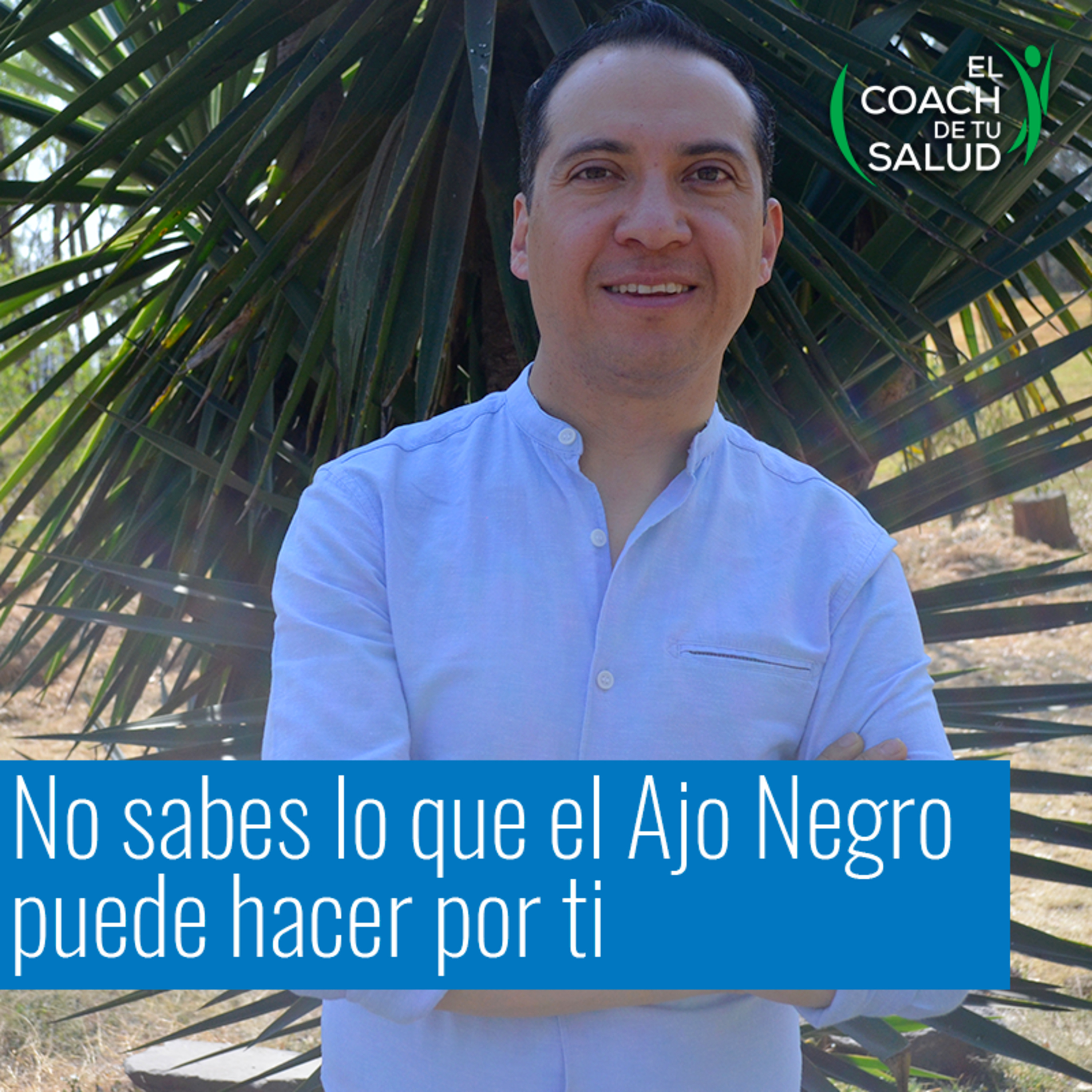 Beneficios del ajo ¿negro? episode artwork