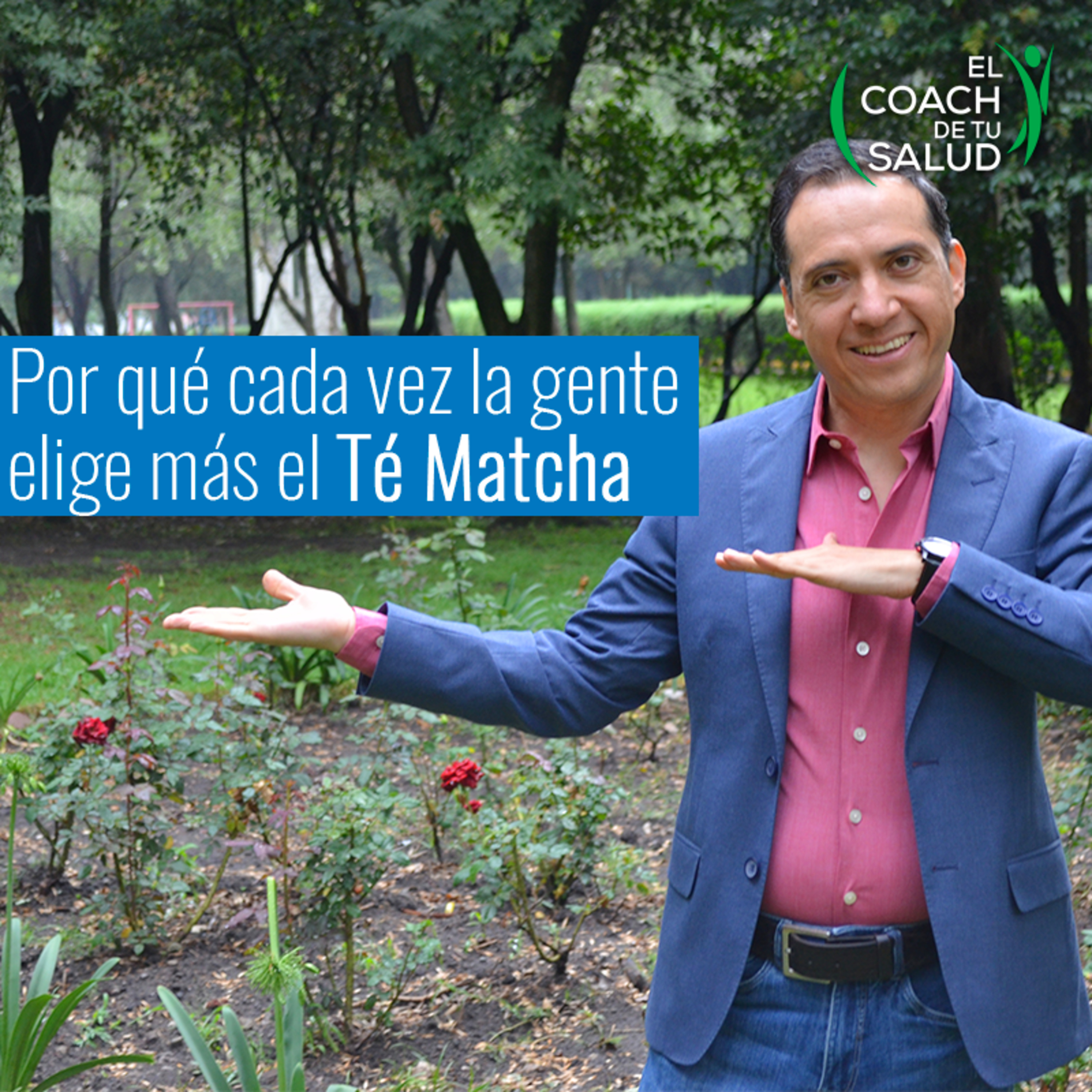 Té Matcha, ¿moda o bienestar? episode artwork