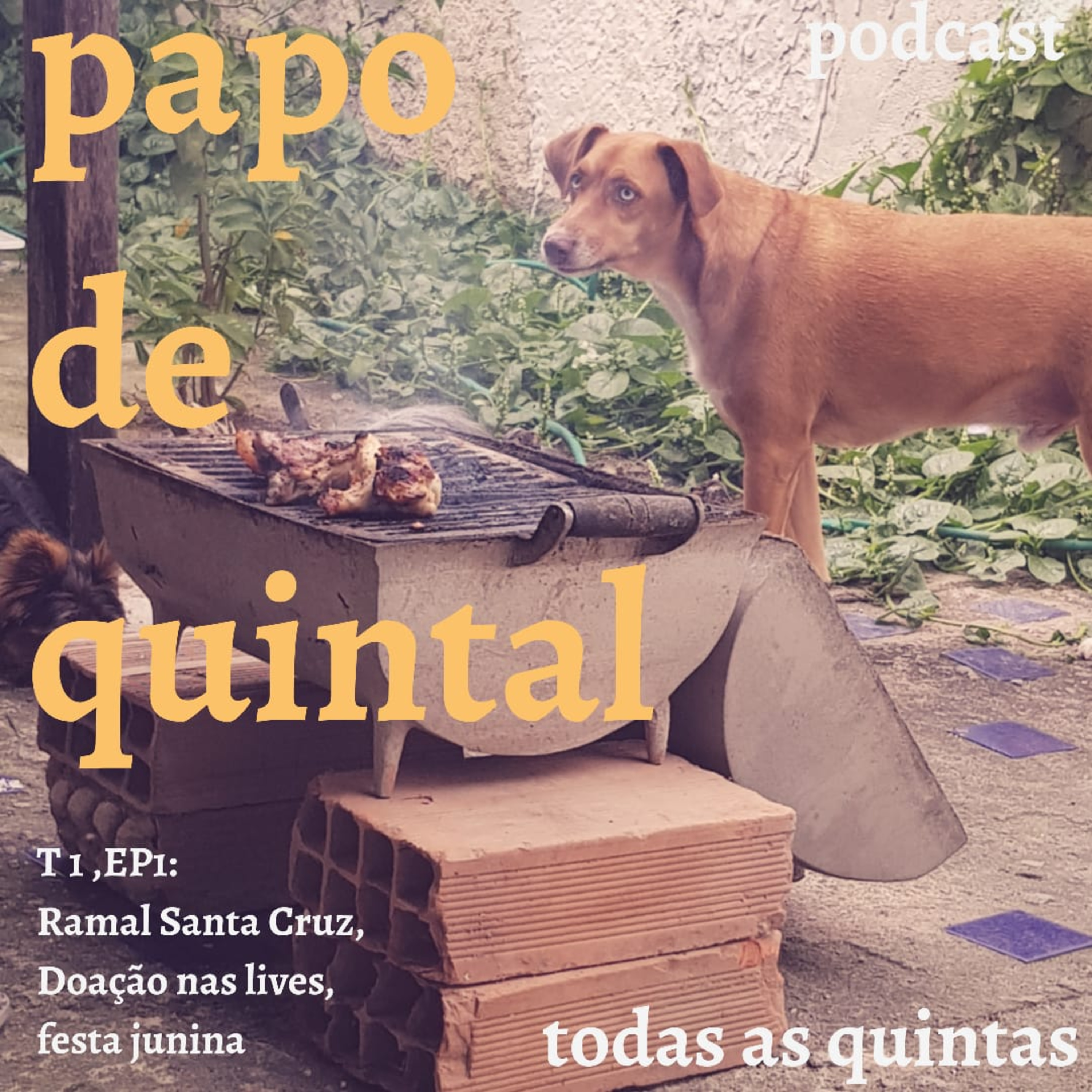 PAPO DE QUINTAL TEMP. 01: #EP01 - SANTA CRUZ PARADOR, DOAÇÃO NAS LIVES E FESTA JUNINA episode artwork
