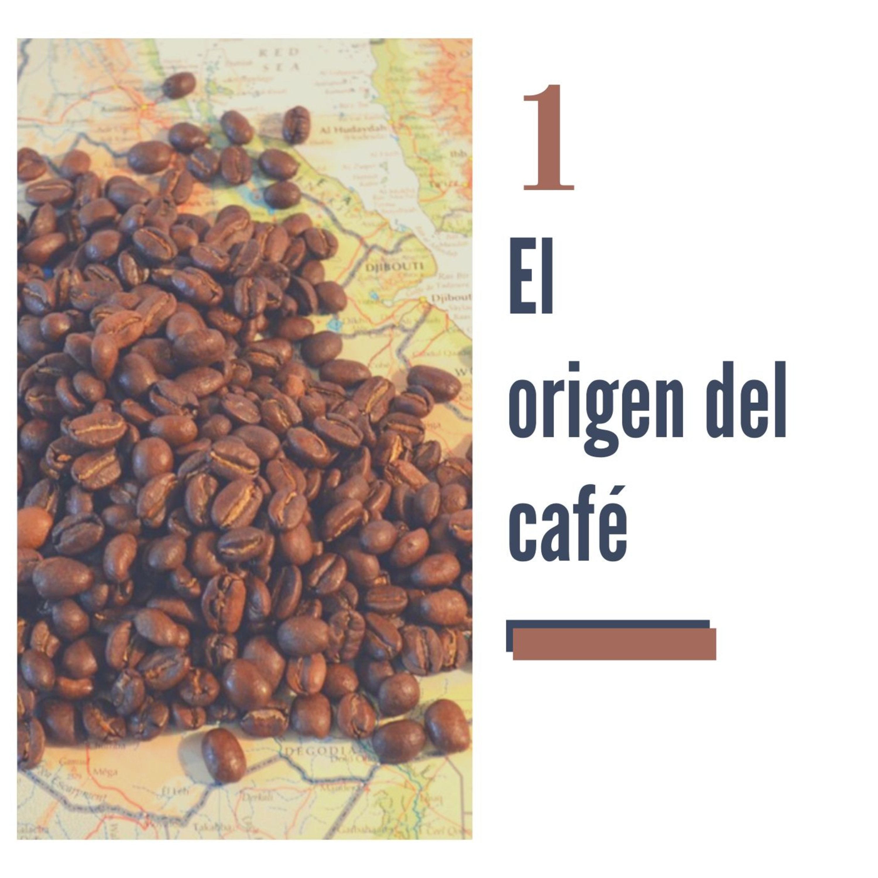 Piel Color Café