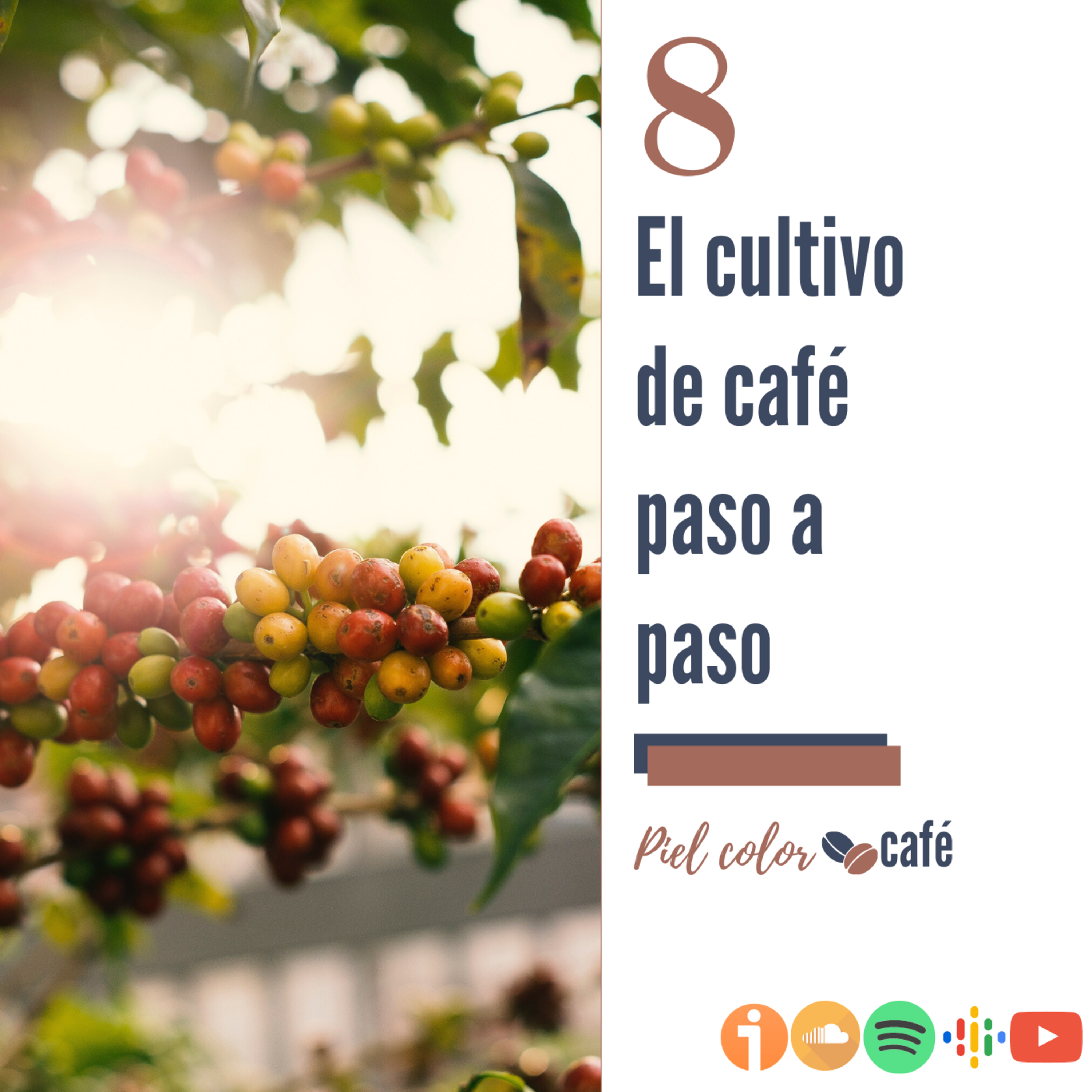 Piel Color Café
