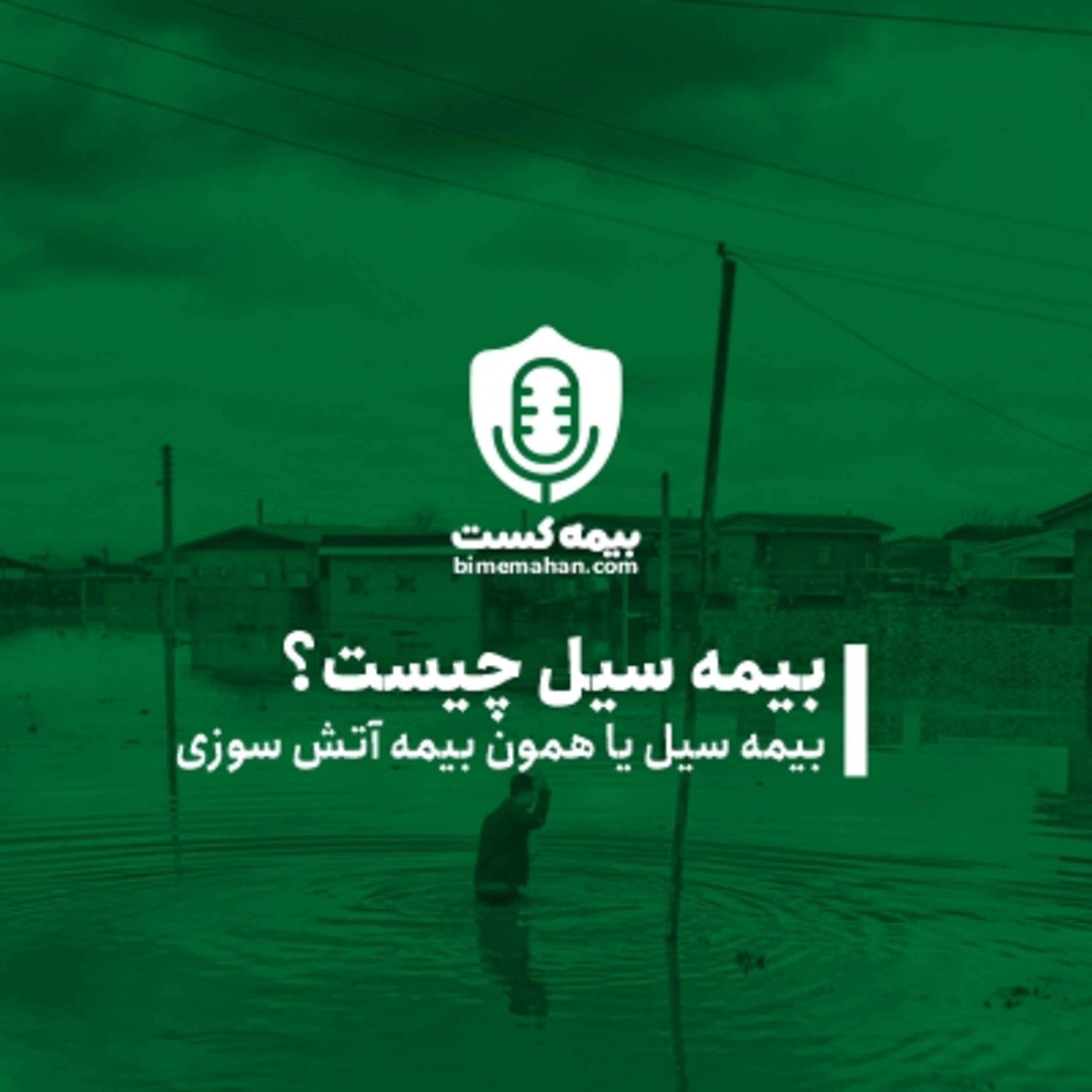 کاور بیمه سیل چیست؟ | فروشگاه آنلاین بیمه ماهان