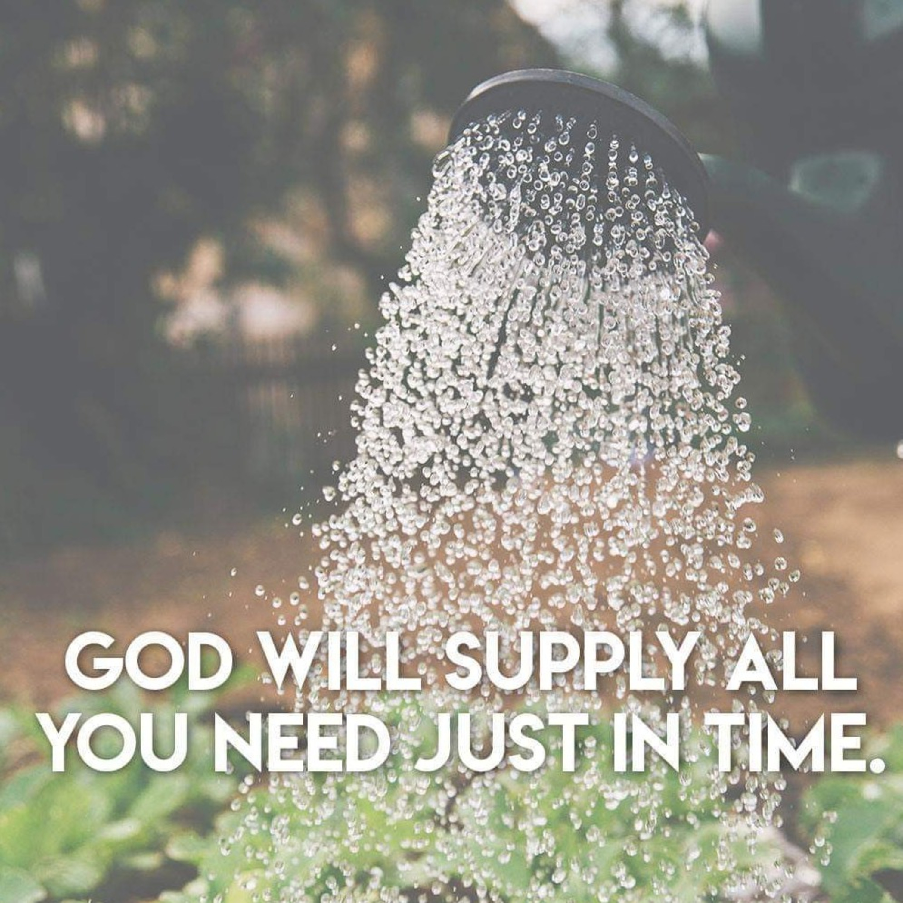 Rev Natalie Angela Barnard - St Andrew\'s Presbyterian Church Cape Town