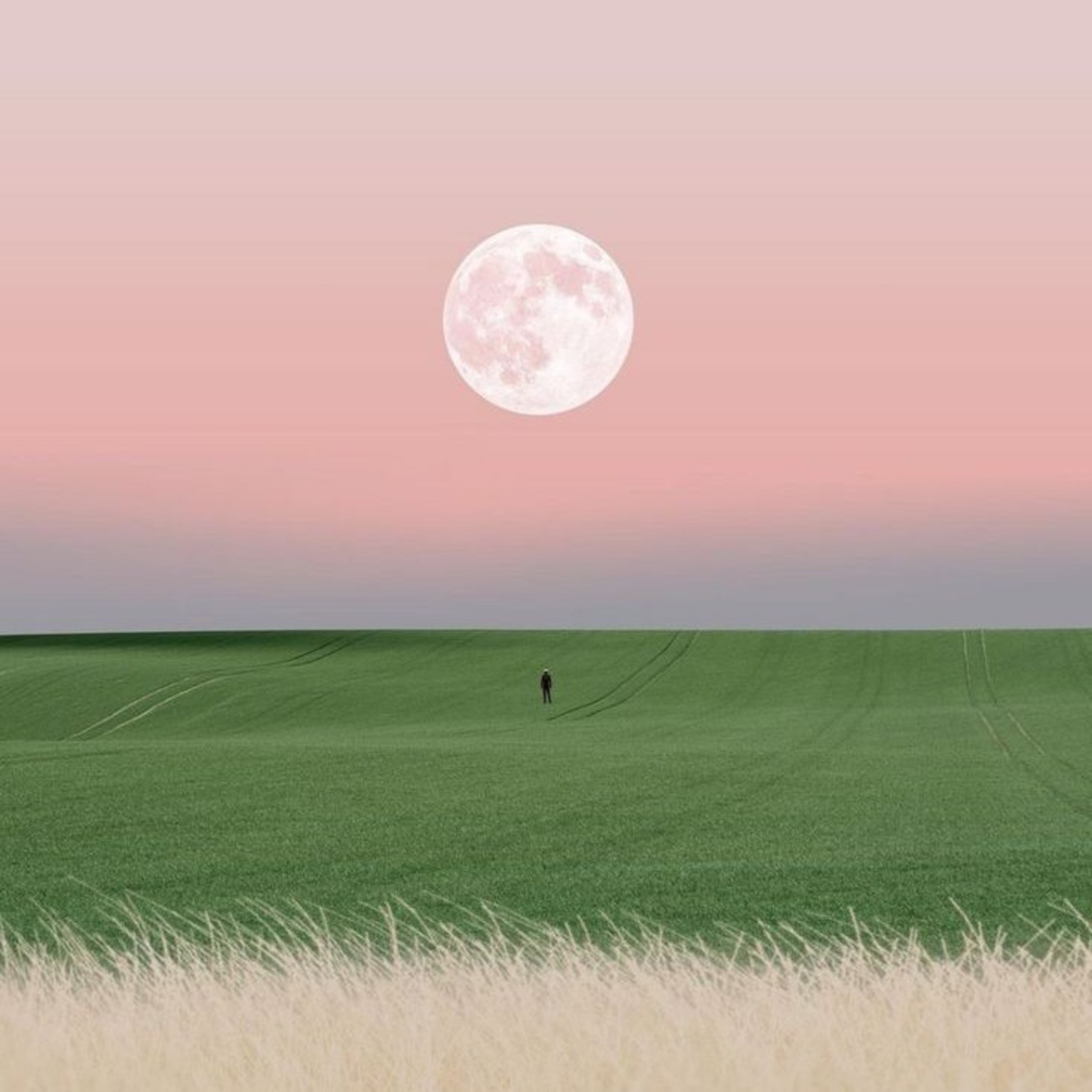 Pronósticos próximos 3 meses Signos de Tierra ♉♍♑ episode artwork