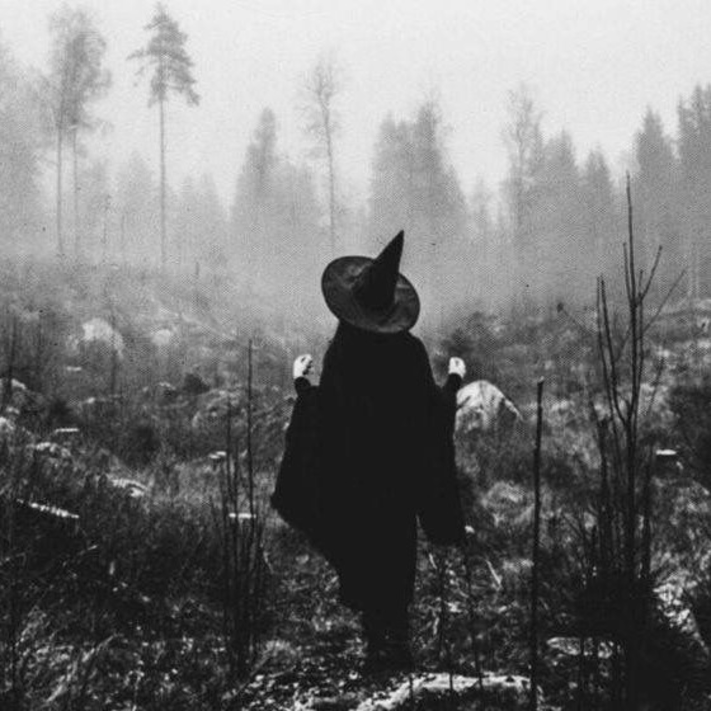 Caminando en el sendero de la Bruja episode artwork