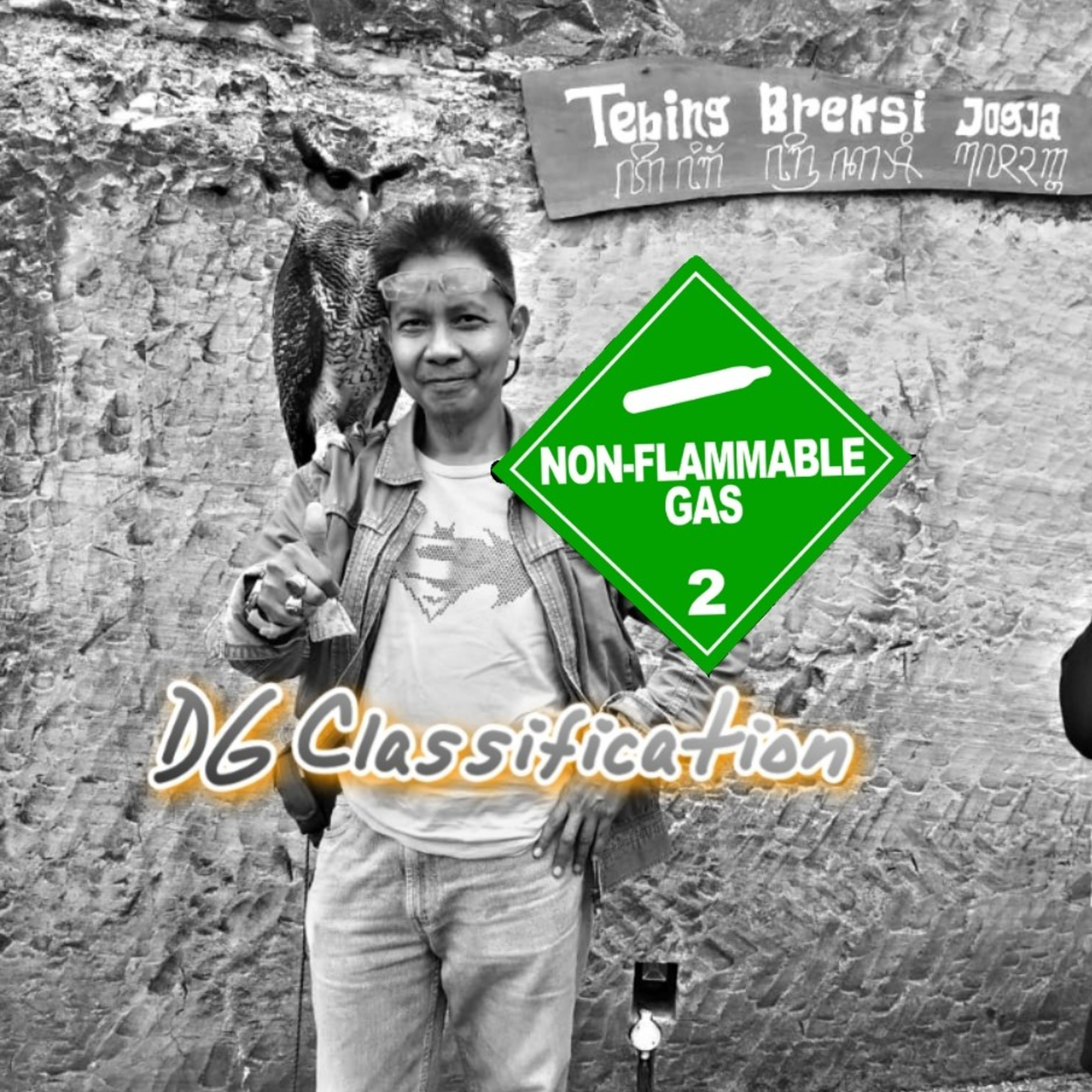 #2. Dangerous Goods Classification episode artwork